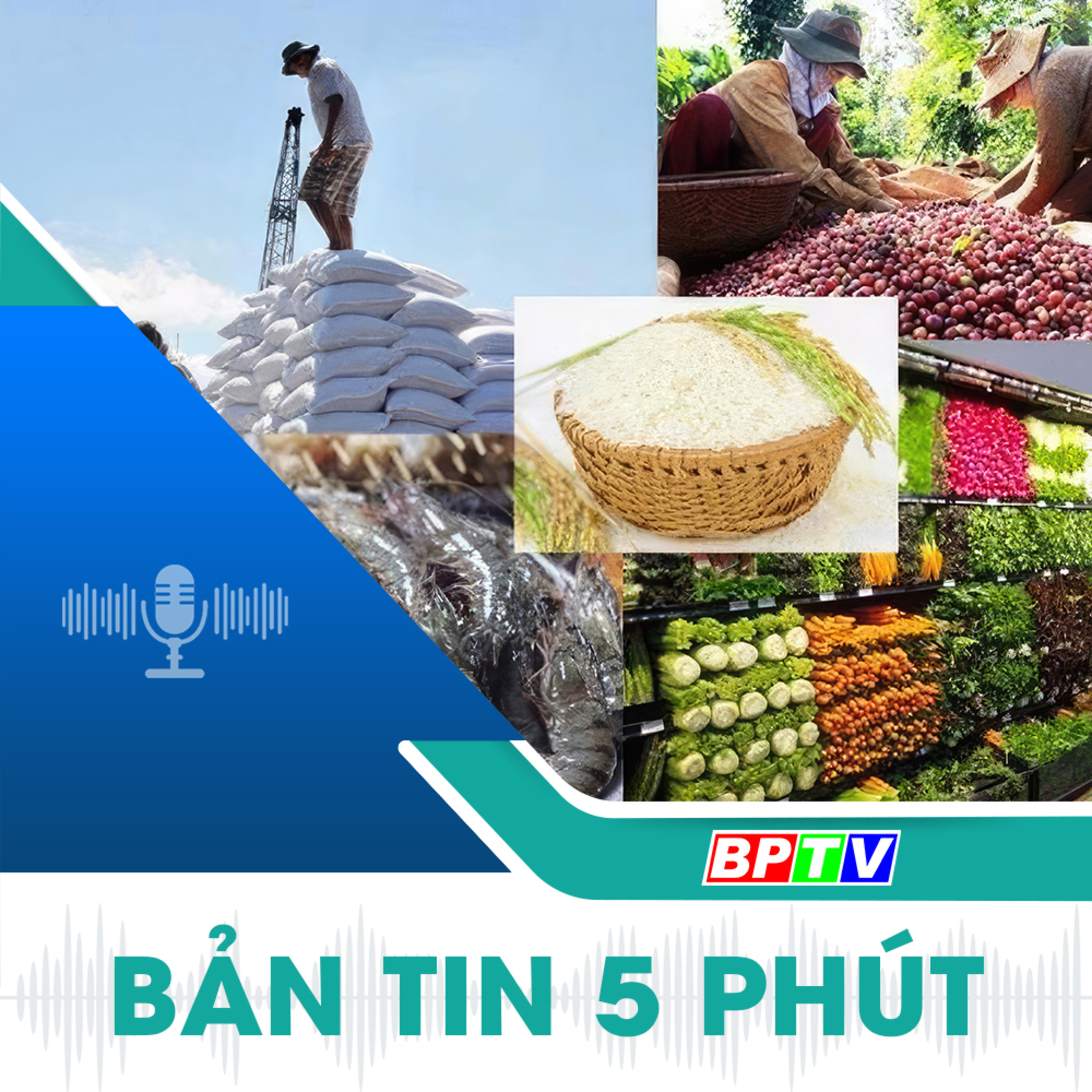 5 phút sáng nay 10-11-2024 episode artwork