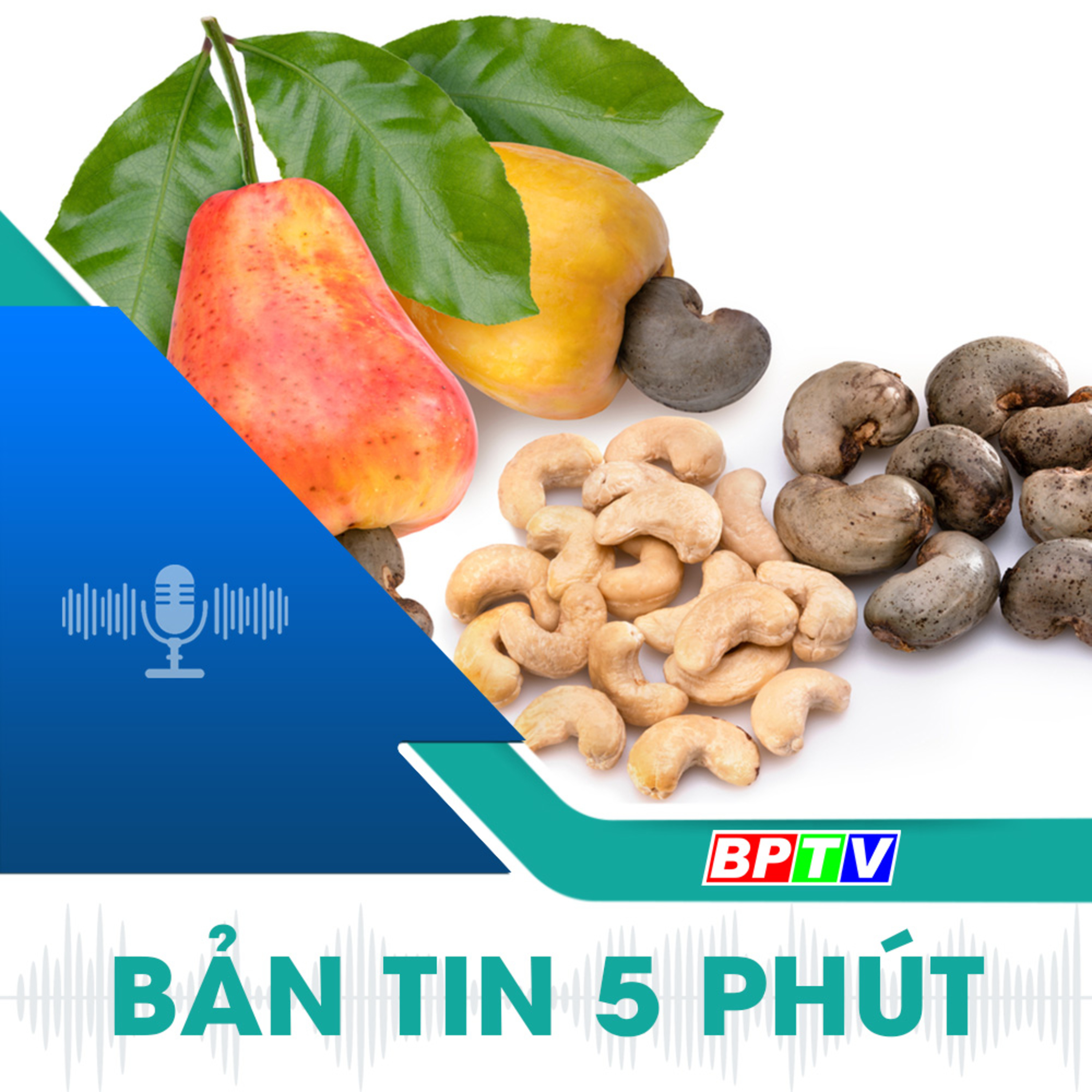 5 phút trưa nay 15-11-2024 episode artwork