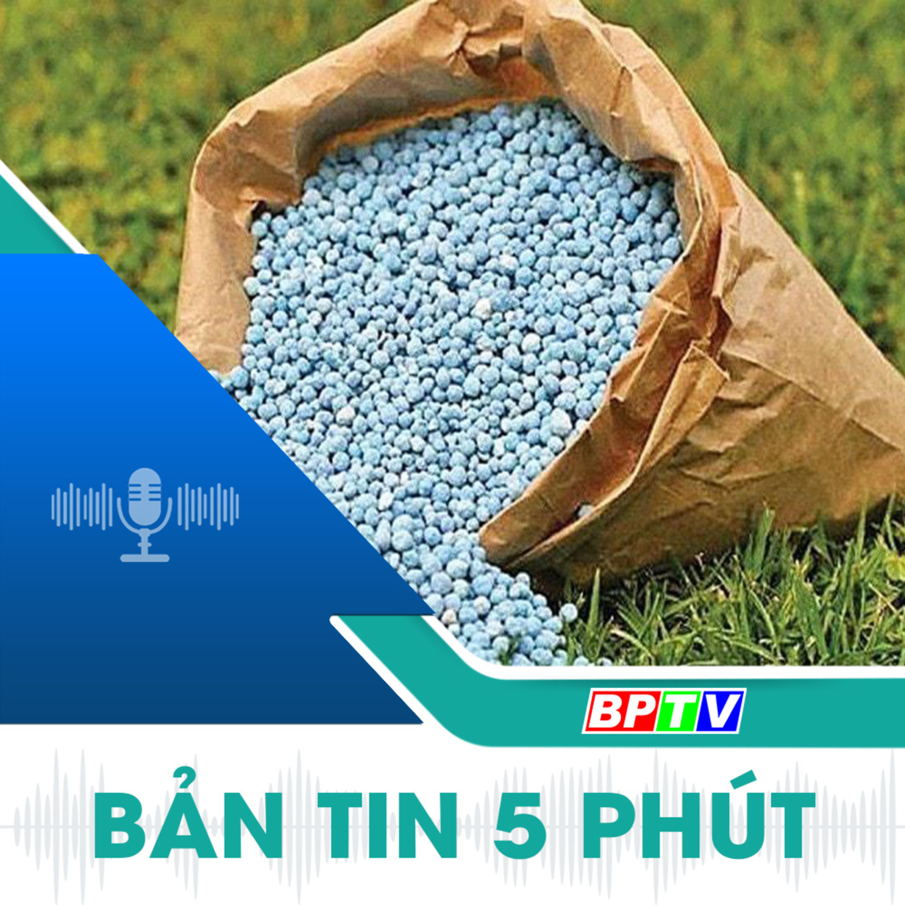 5 phút tối nay 27-11-2024  episode artwork