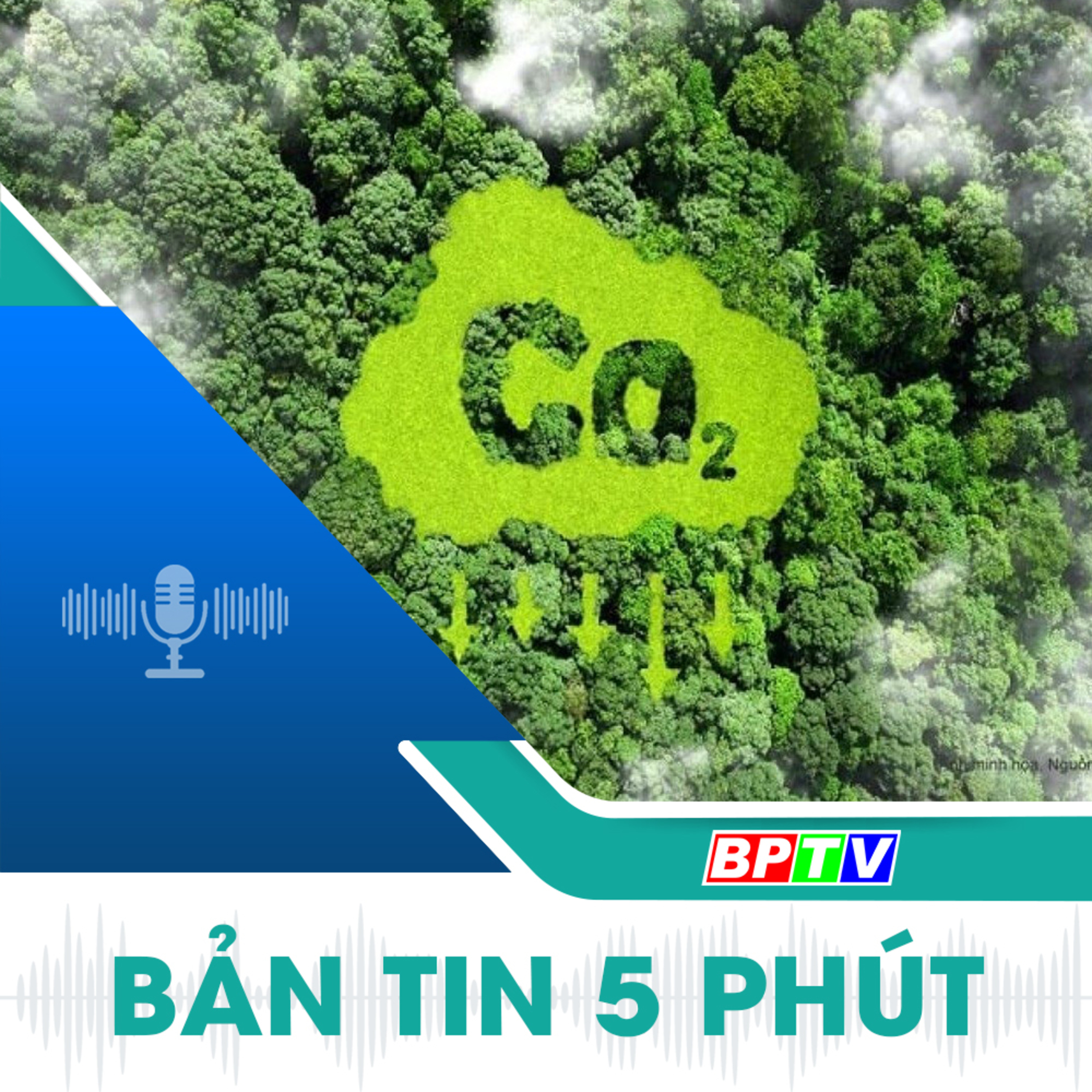 5 phút tối nay 28-11-2024 episode artwork