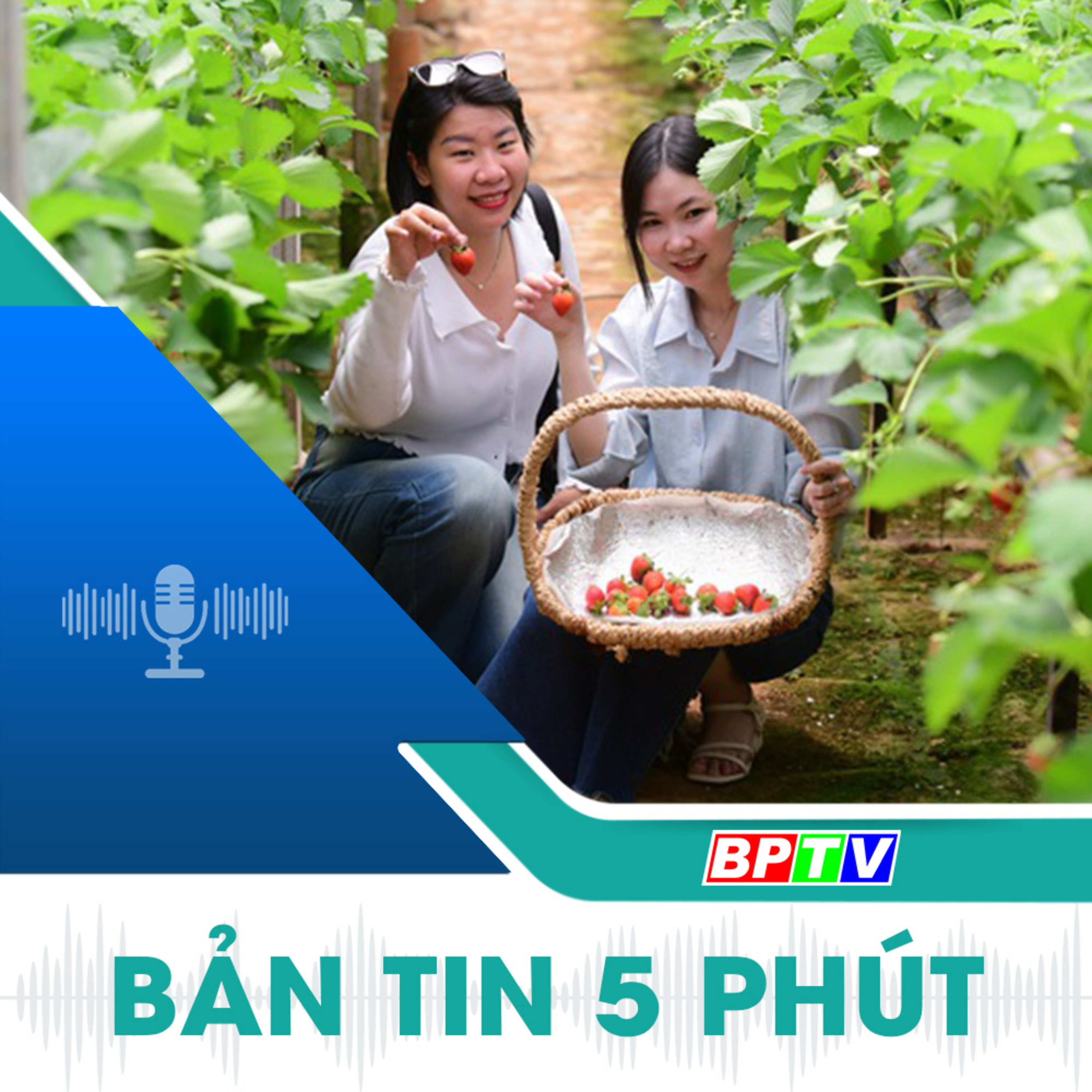 5 phút trưa nay 15-12-2024 episode artwork