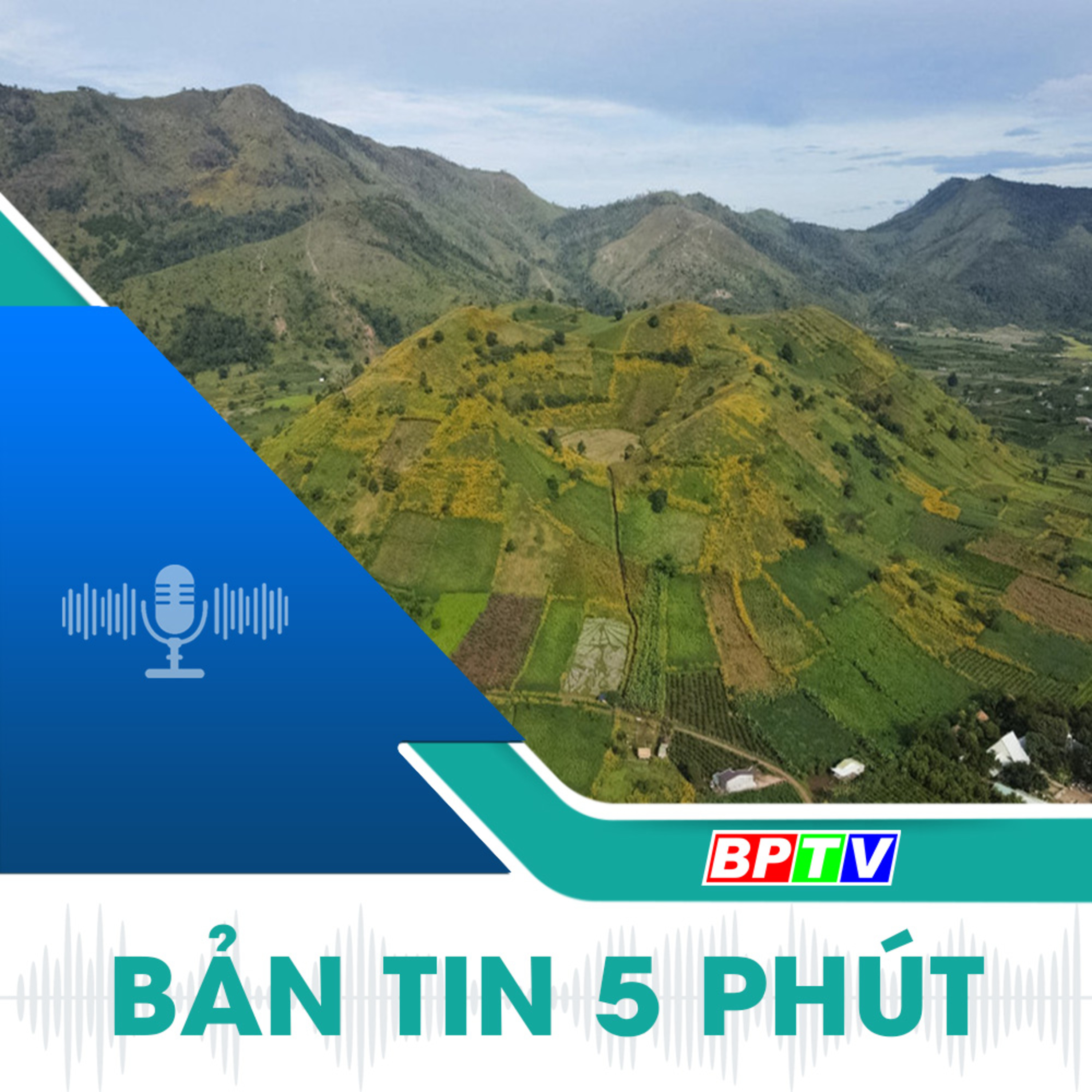 5 phút tối nay 15-12-2024  episode artwork