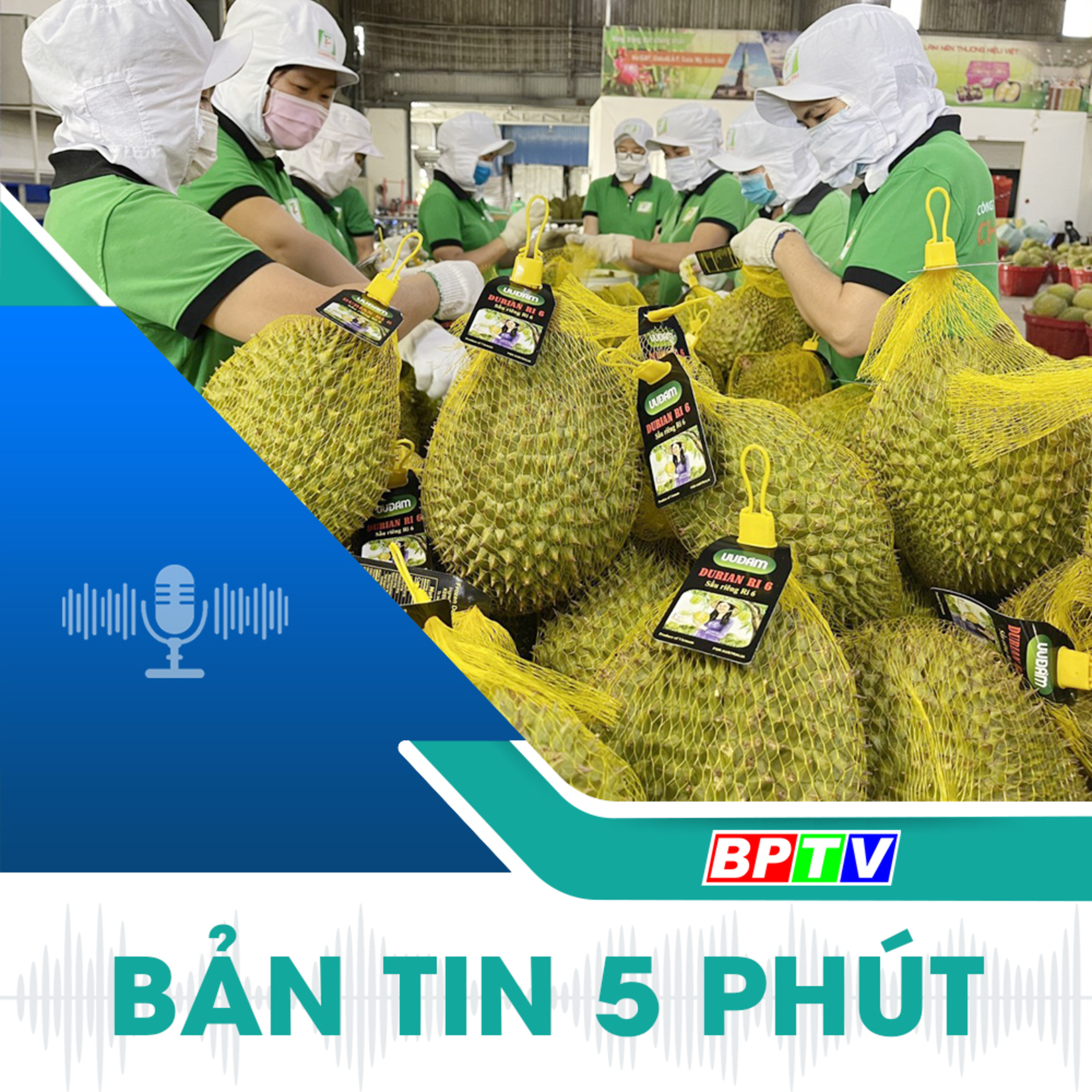 5 phút trưa nay 16-12-2024 episode artwork
