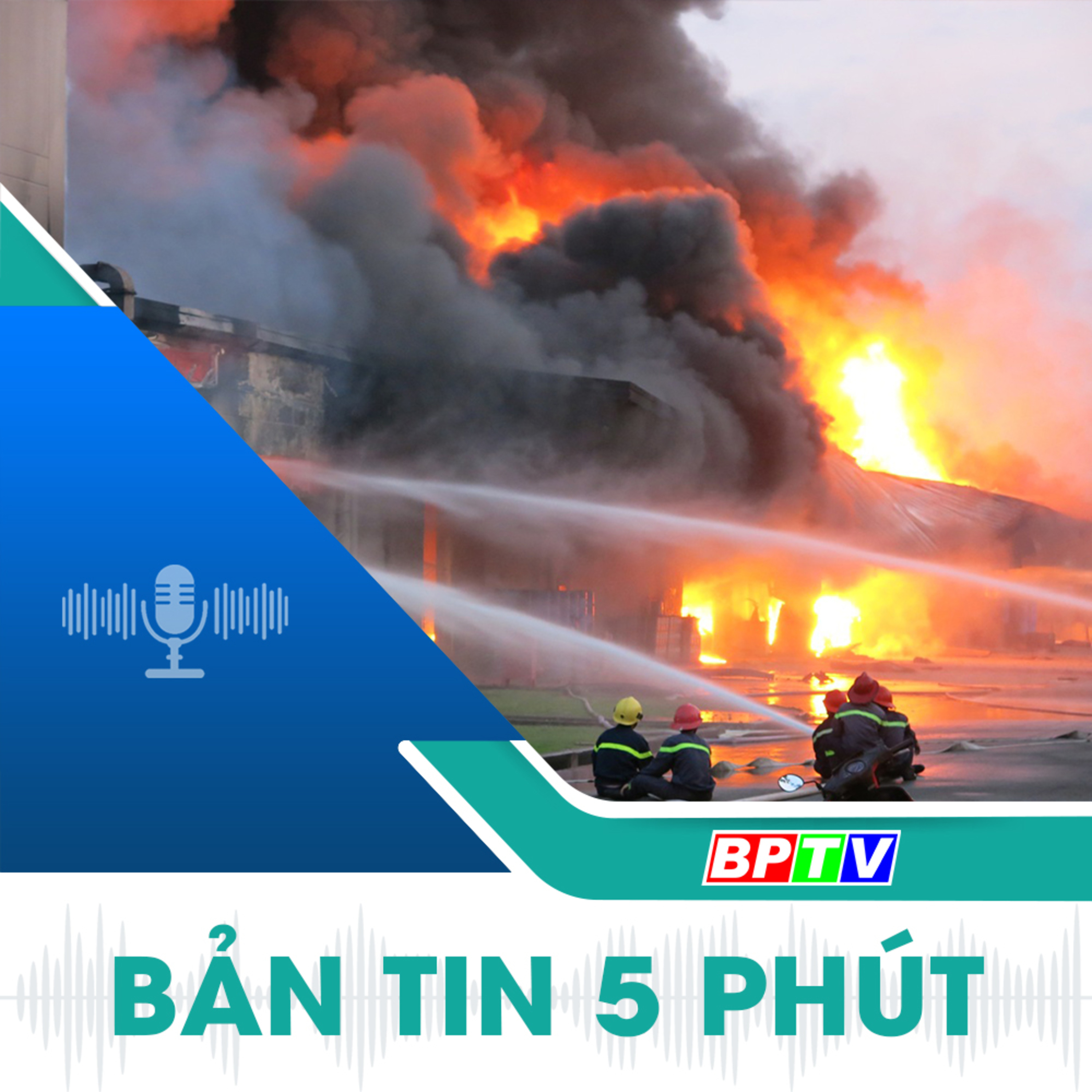  5 phút trưa nay 24-12-2024 episode artwork