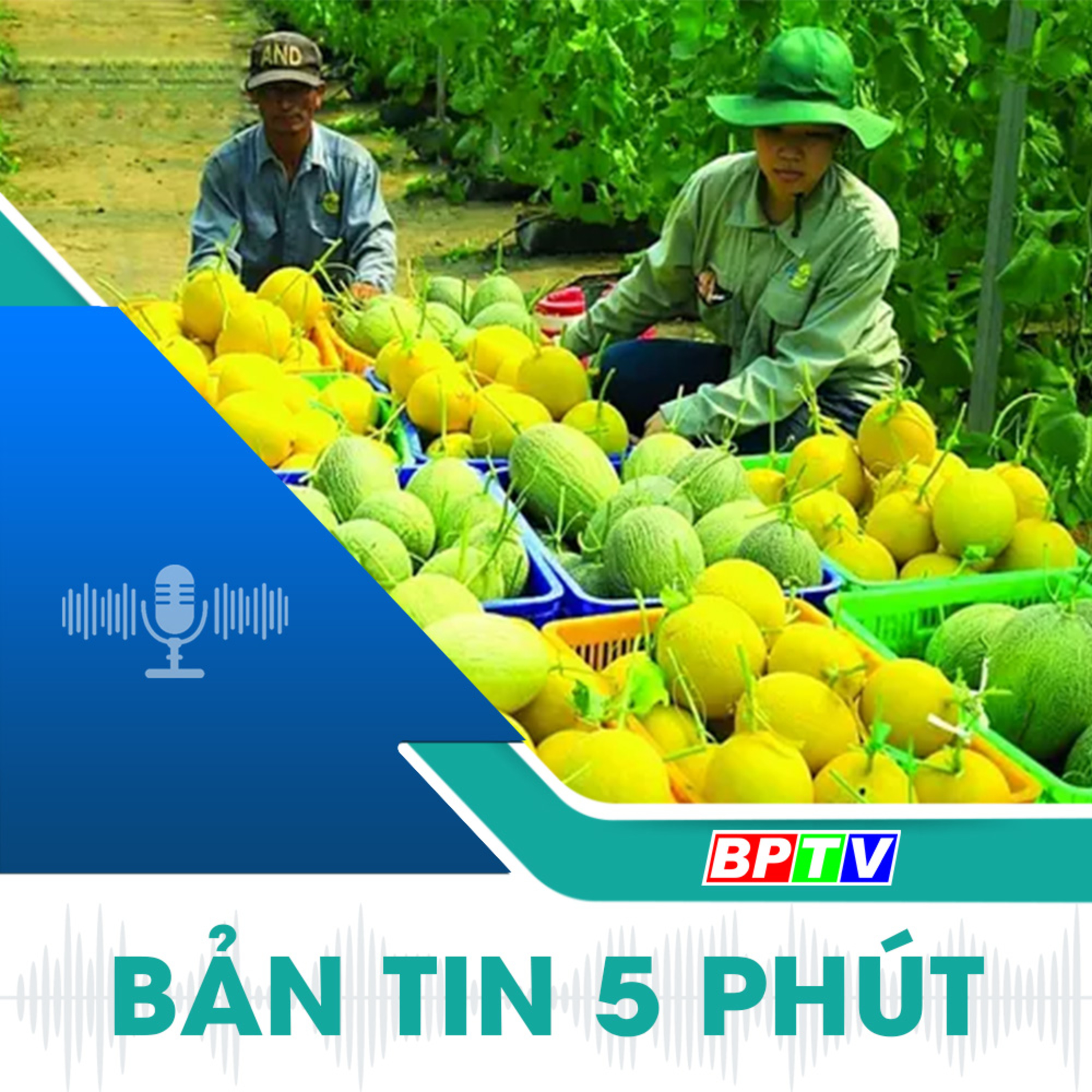 5 phút tối nay 31-12-2024  episode artwork
