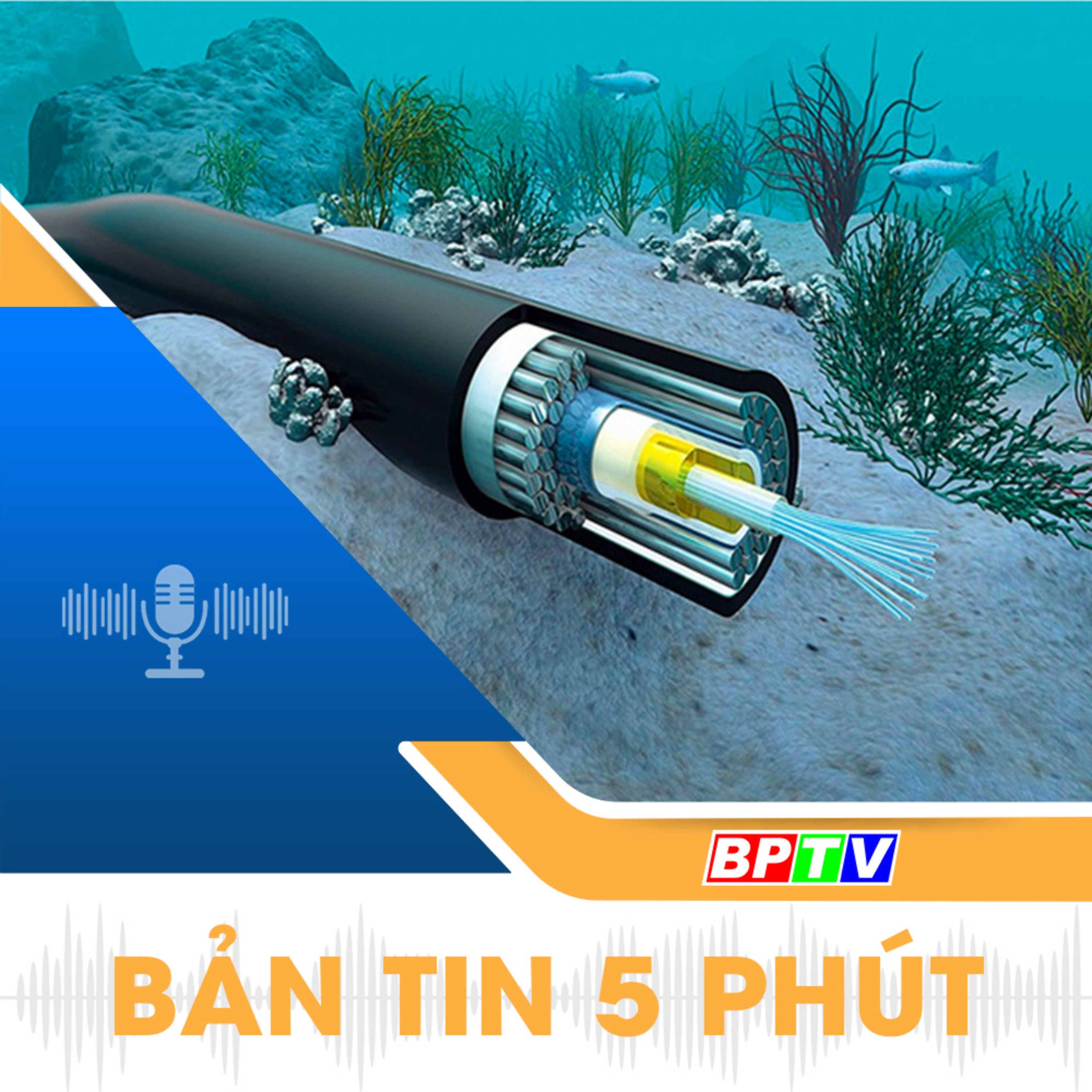 5 phút trưa nay 4-1-2025 episode artwork