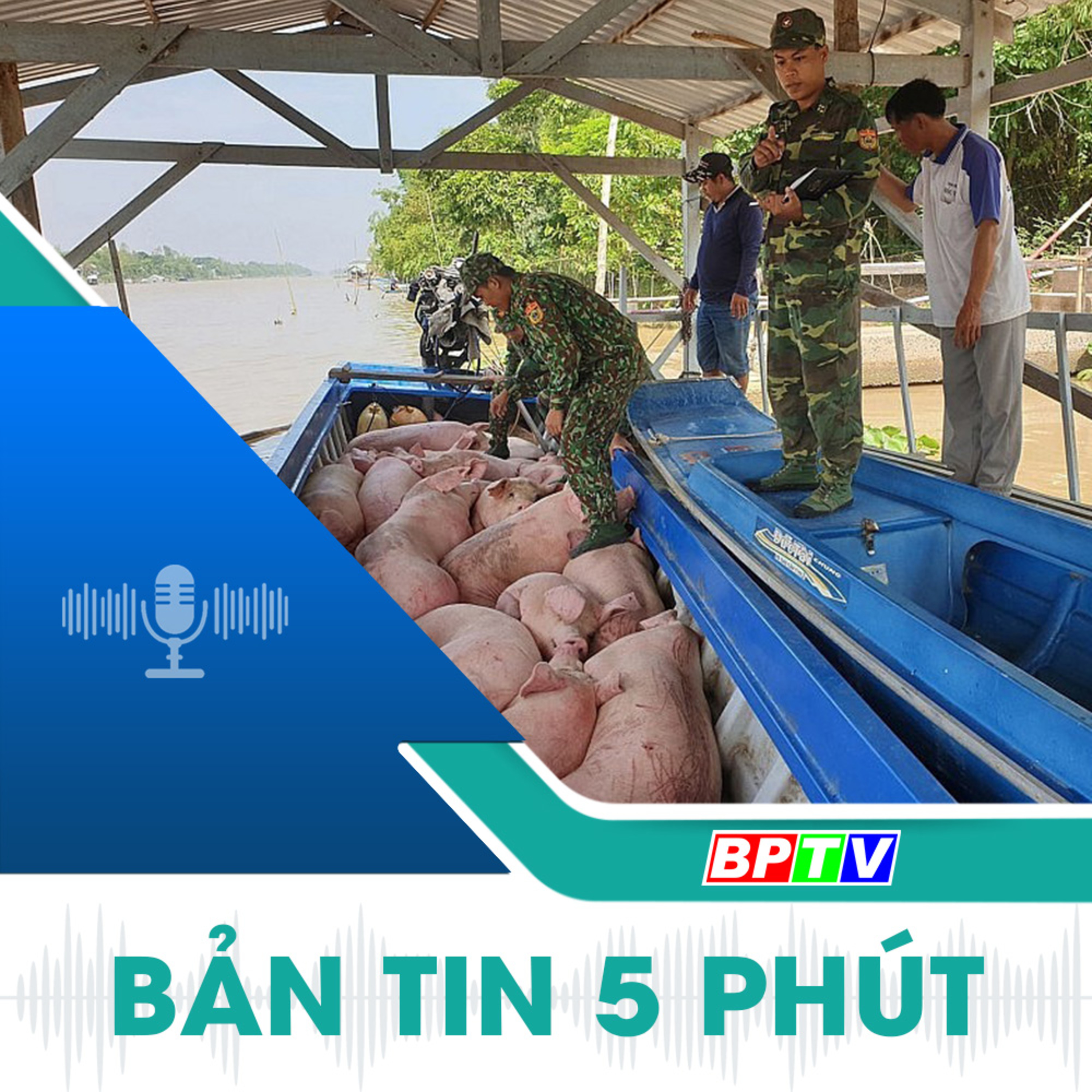 5 phút trưa nay 22-1-2025 episode artwork