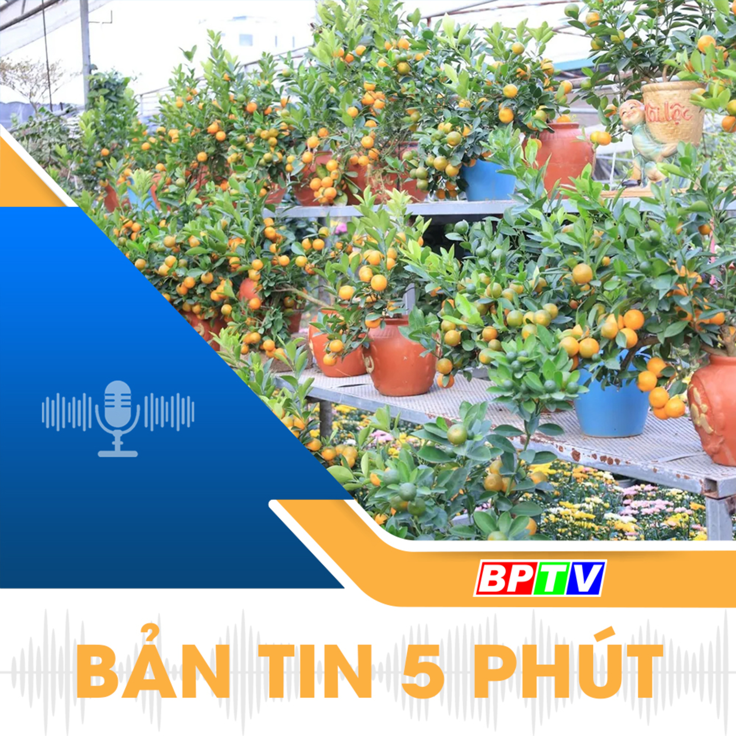  5 phút sáng nay 27-1-2025 episode artwork