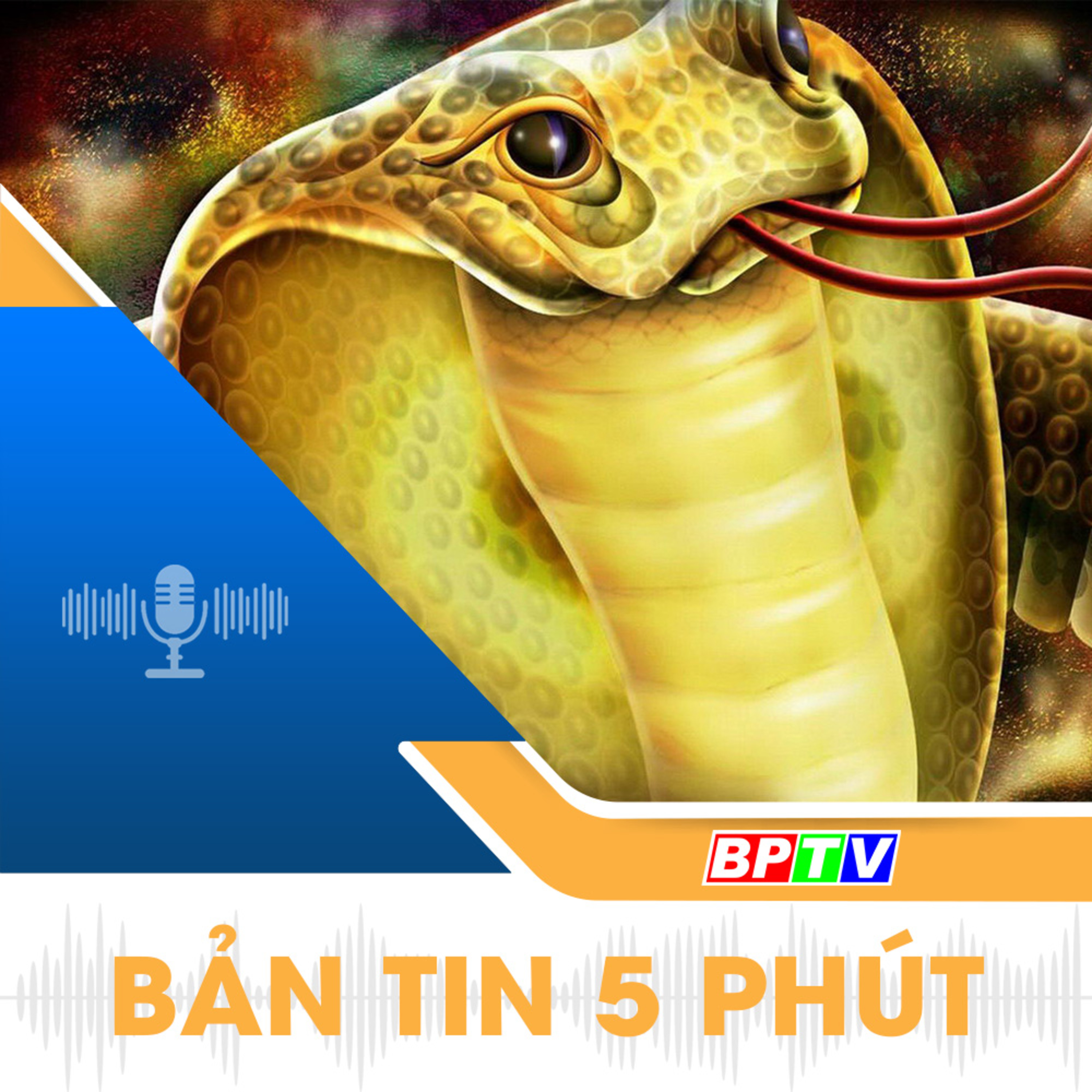 5 phút trưa nay 30-1-2025 episode artwork