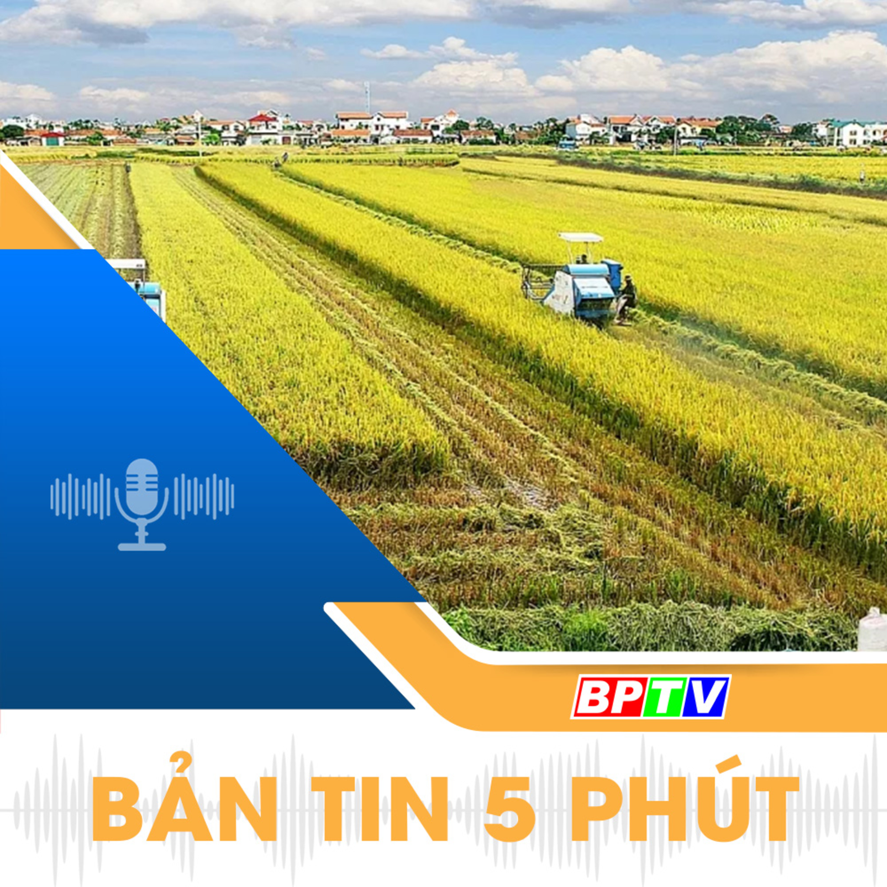 5 phút tối nay 5-2-2025 episode artwork