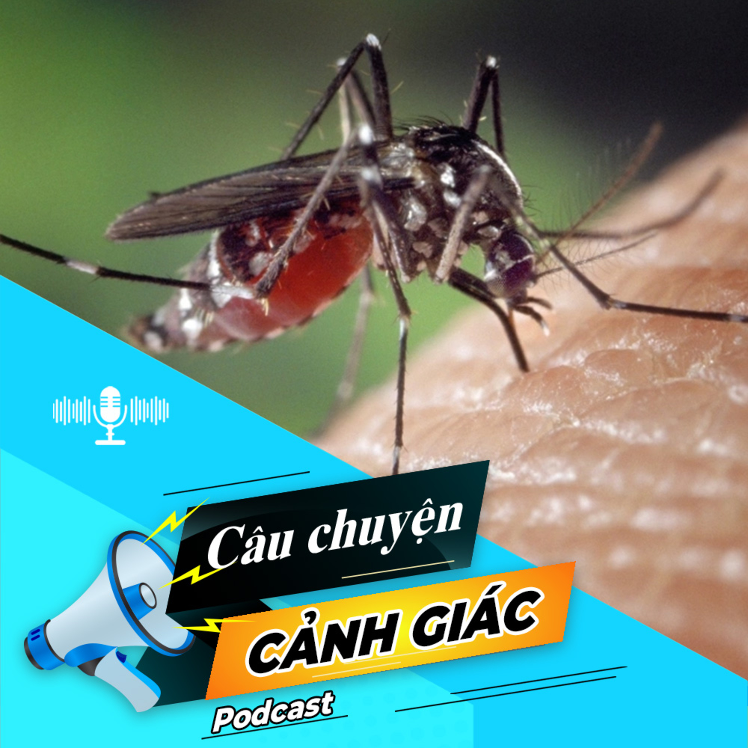 Cẩn trọng với biến chứng của sốt xuất huyết | Câu chuyện cảnh giác episode artwork