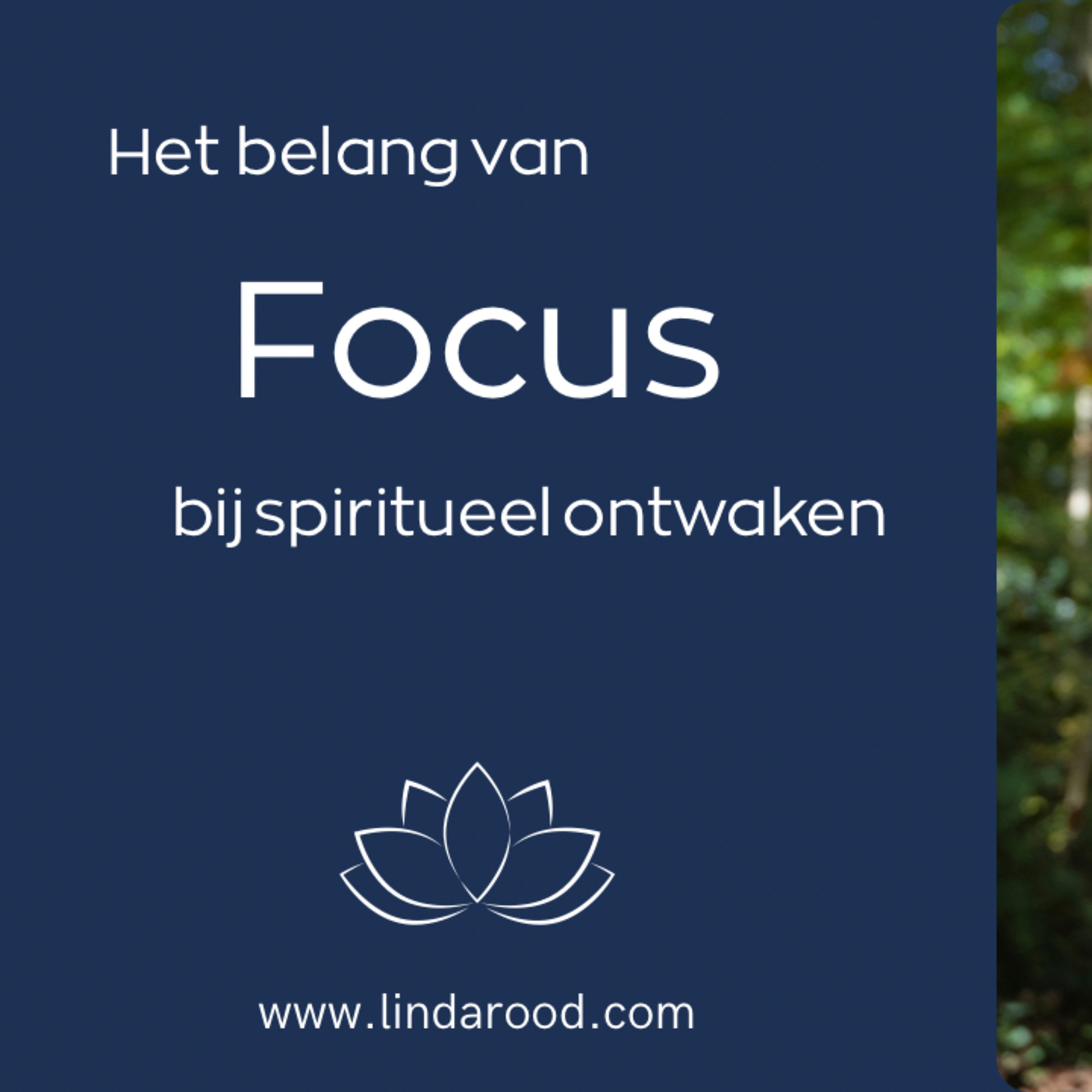 Het belang van focus bij spiritueel ontwaken