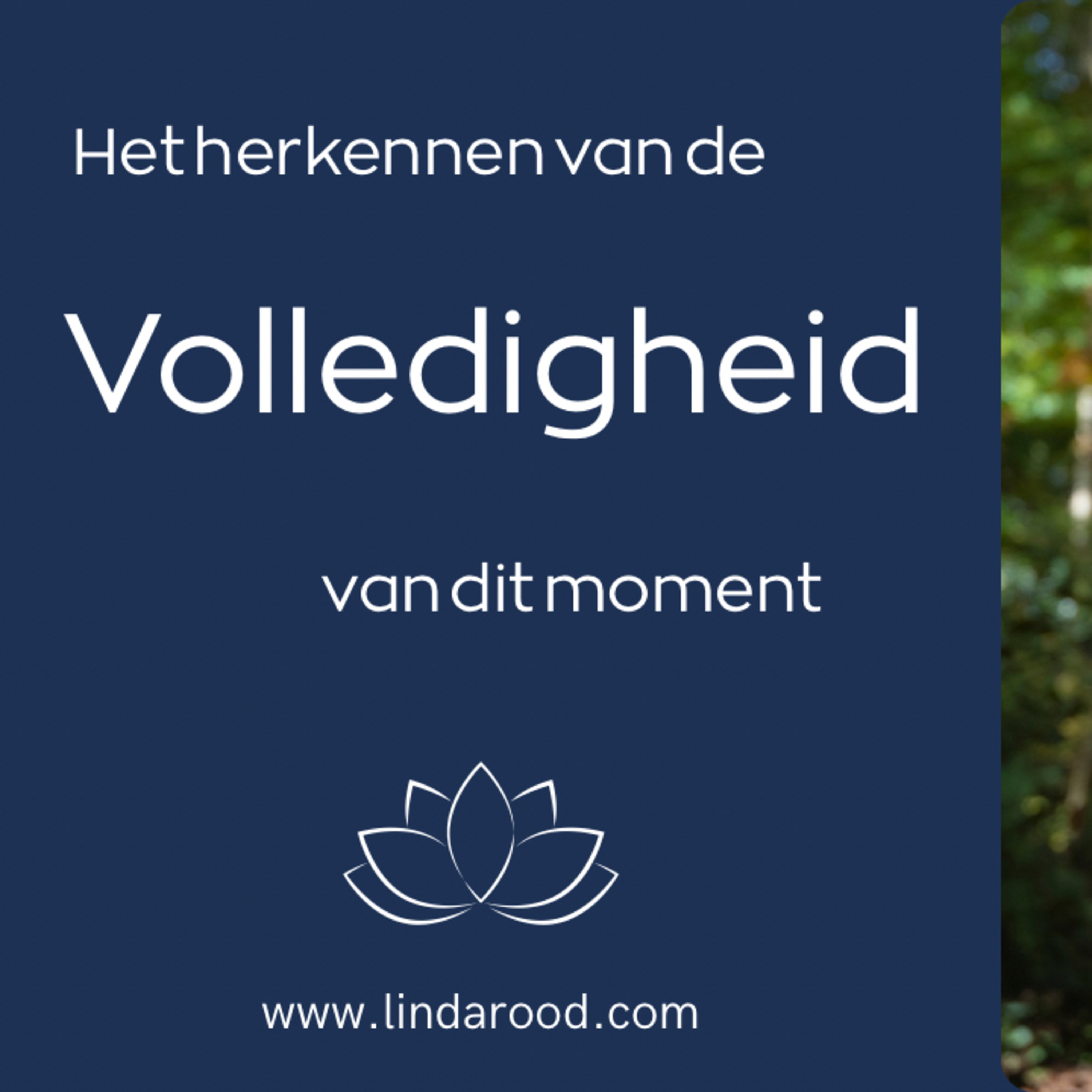 De volledigheid van dit moment