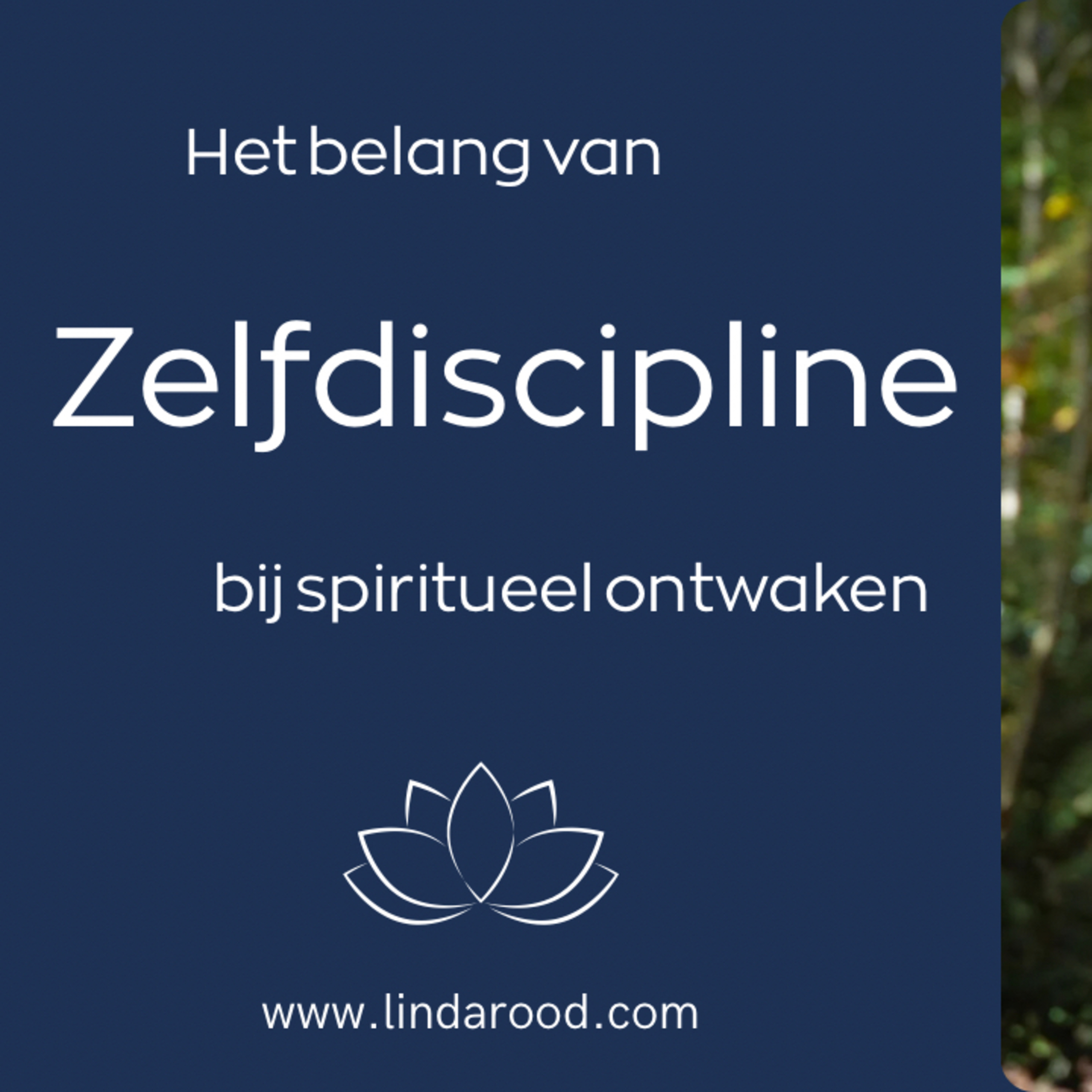 Het belang van zelfdiscipline bij spiritueel ontwaken  episode artwork