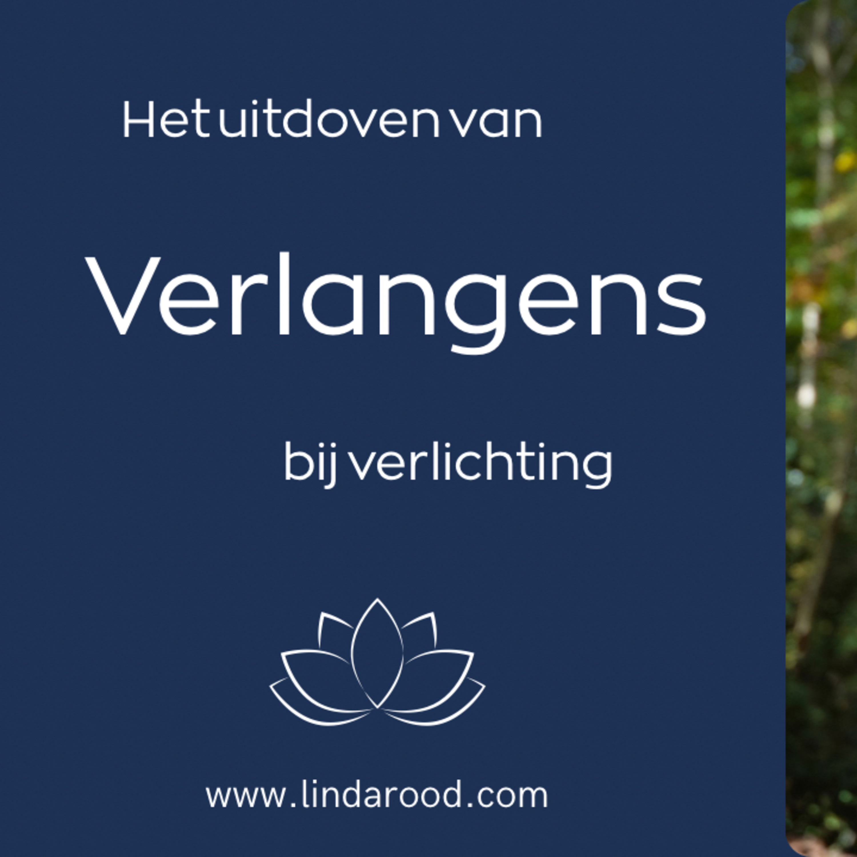 Het uitdoven van verlangens