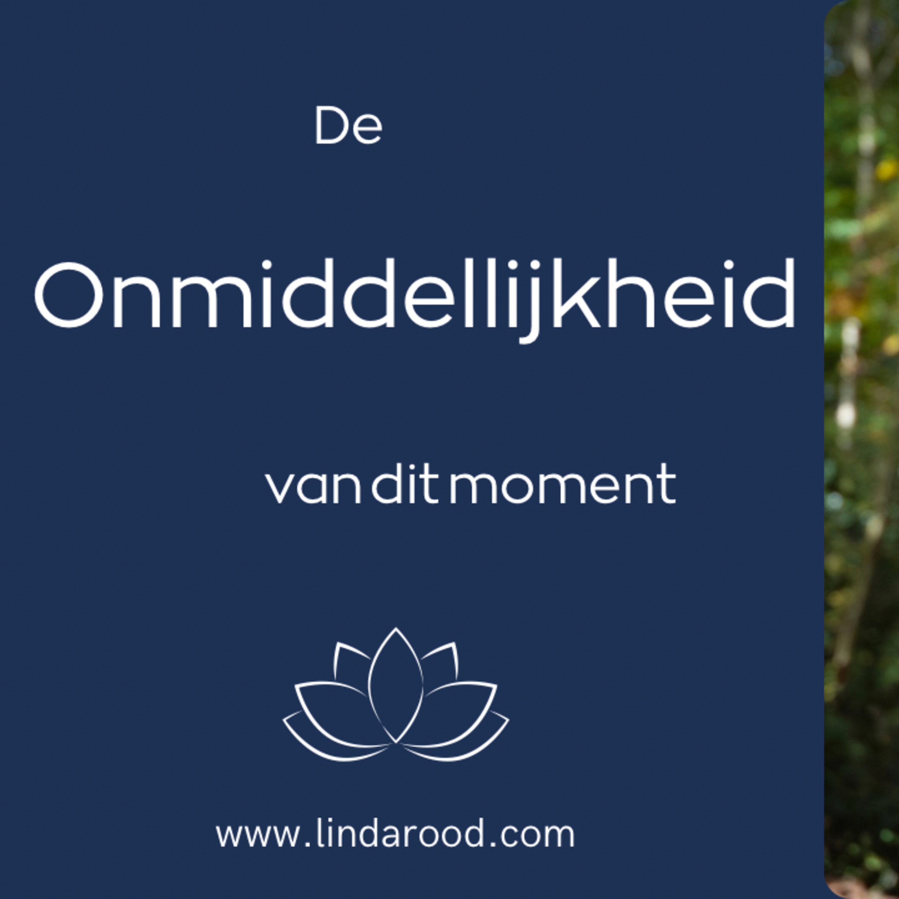 De onmiddellijkheid van dit moment