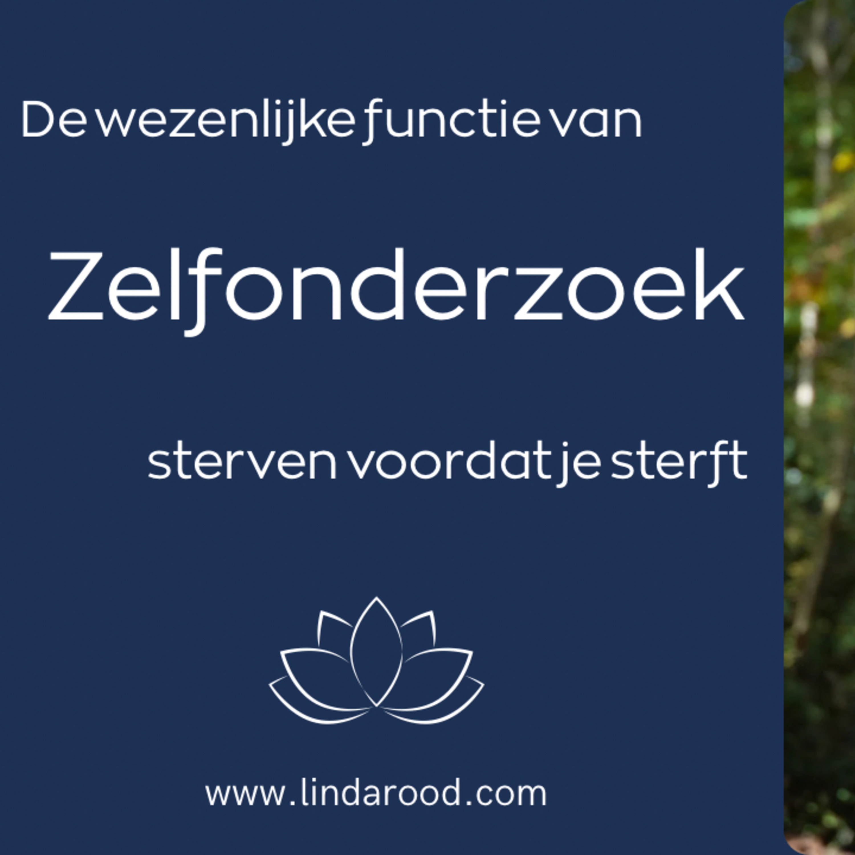 Sterven voordat je sterft episode artwork