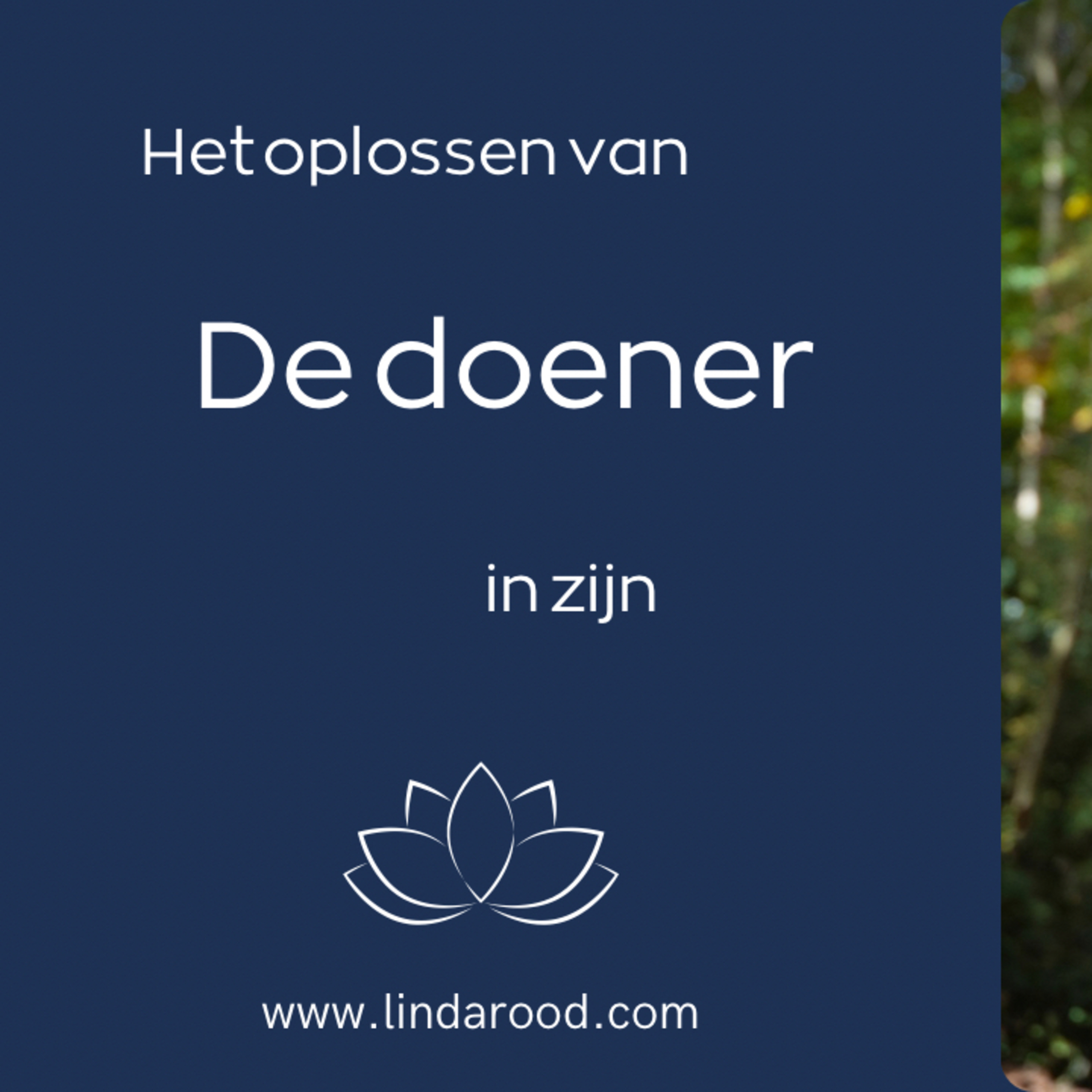 Het oplossen van de doener in zijn episode artwork