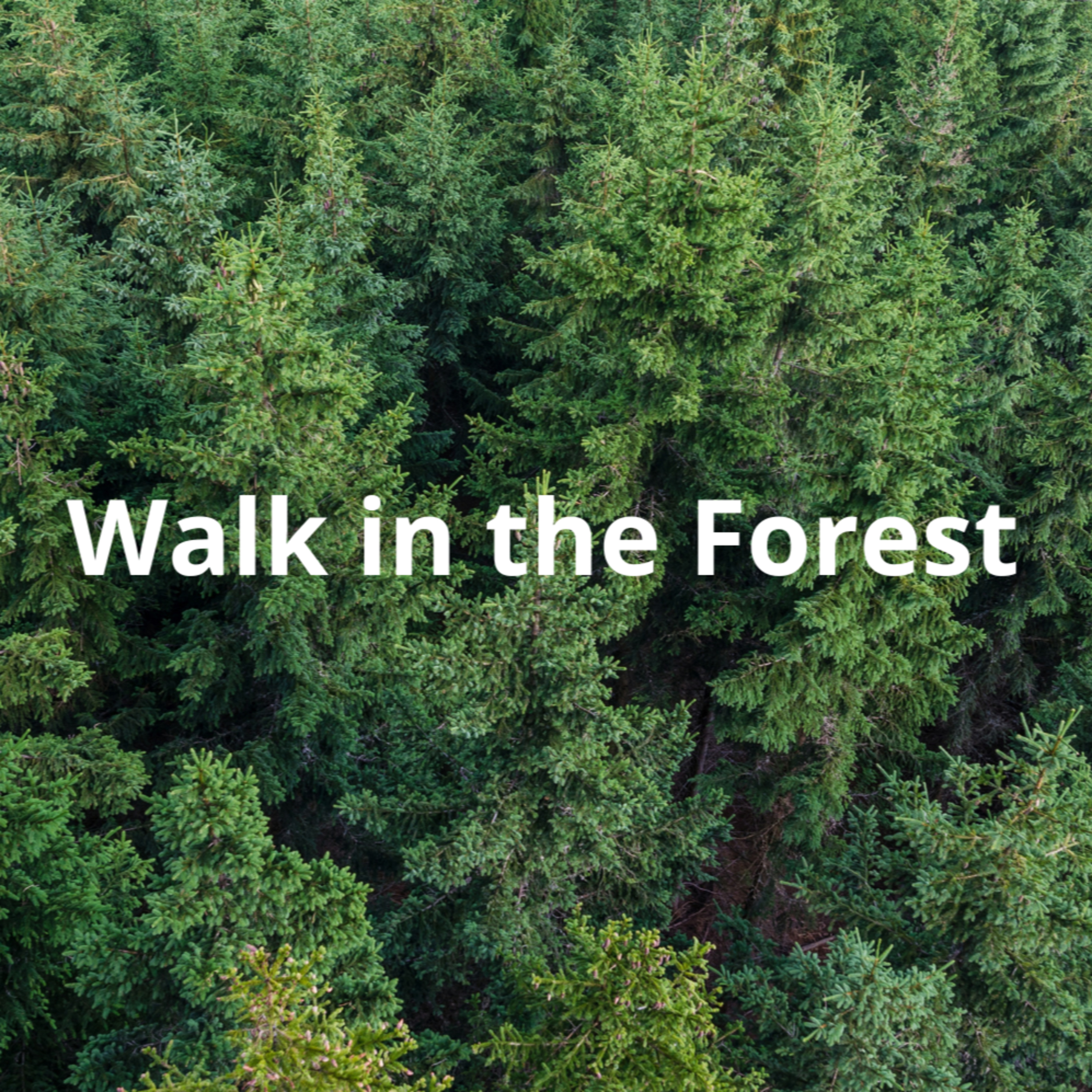 1 min thought interception - Forest