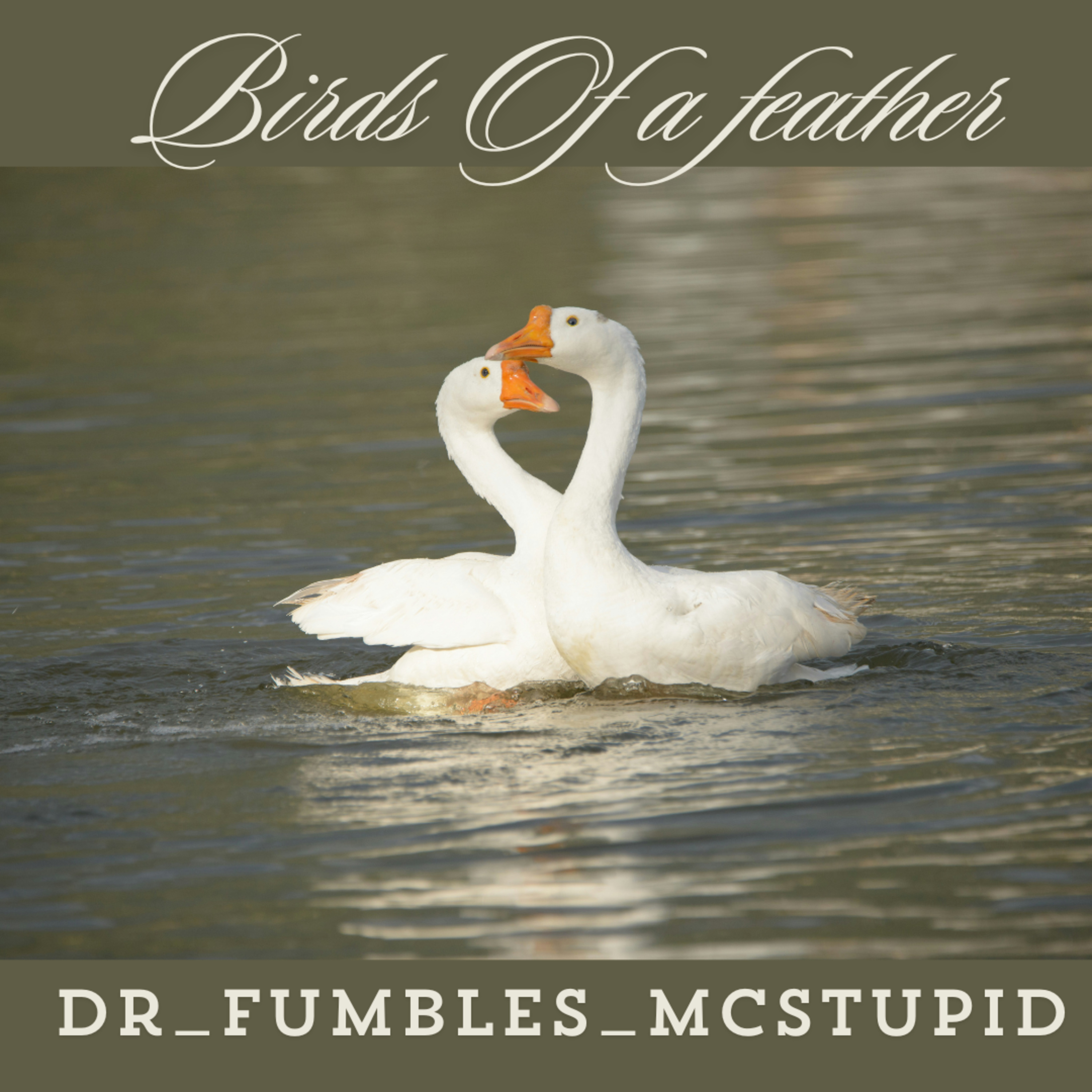Dr_Fumbles_McStupid\'s Podfic