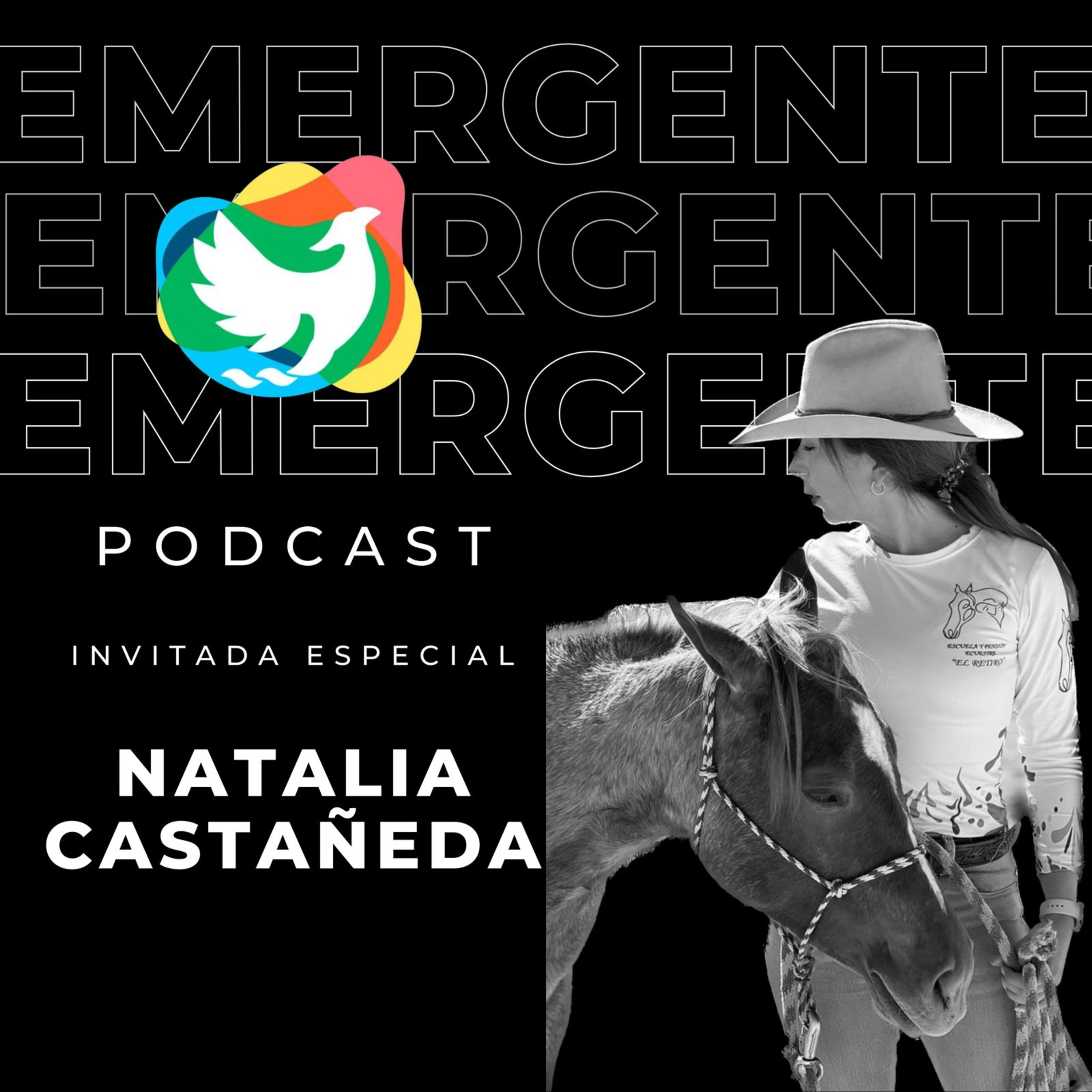 T2. Episodio 23: Natalia Castañeda - Fisioterapeuta y Equinoterapeuta episode artwork