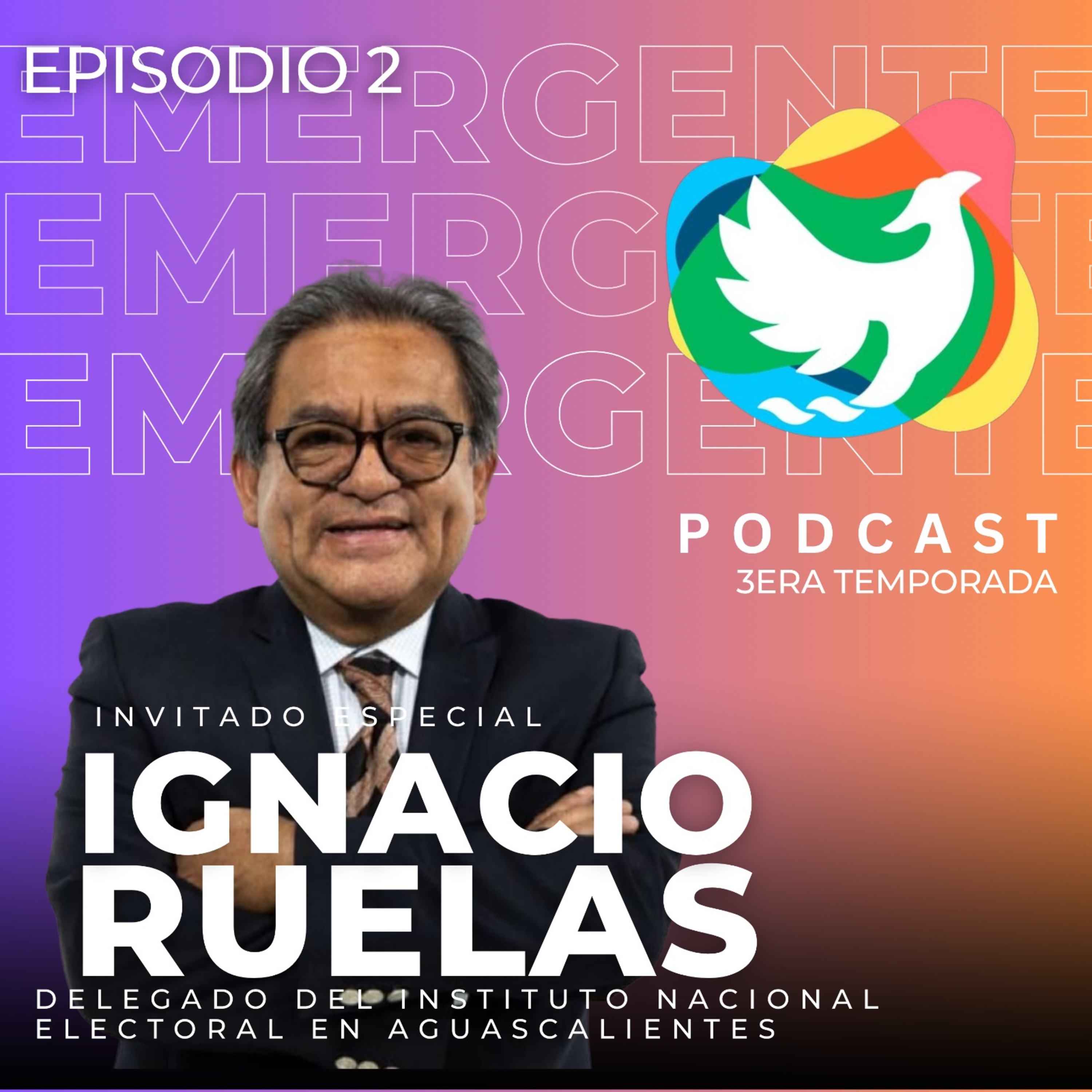 T3. Episodio 2: Ignacio Ruelas - Delegado del INE en Aguascalientes episode artwork