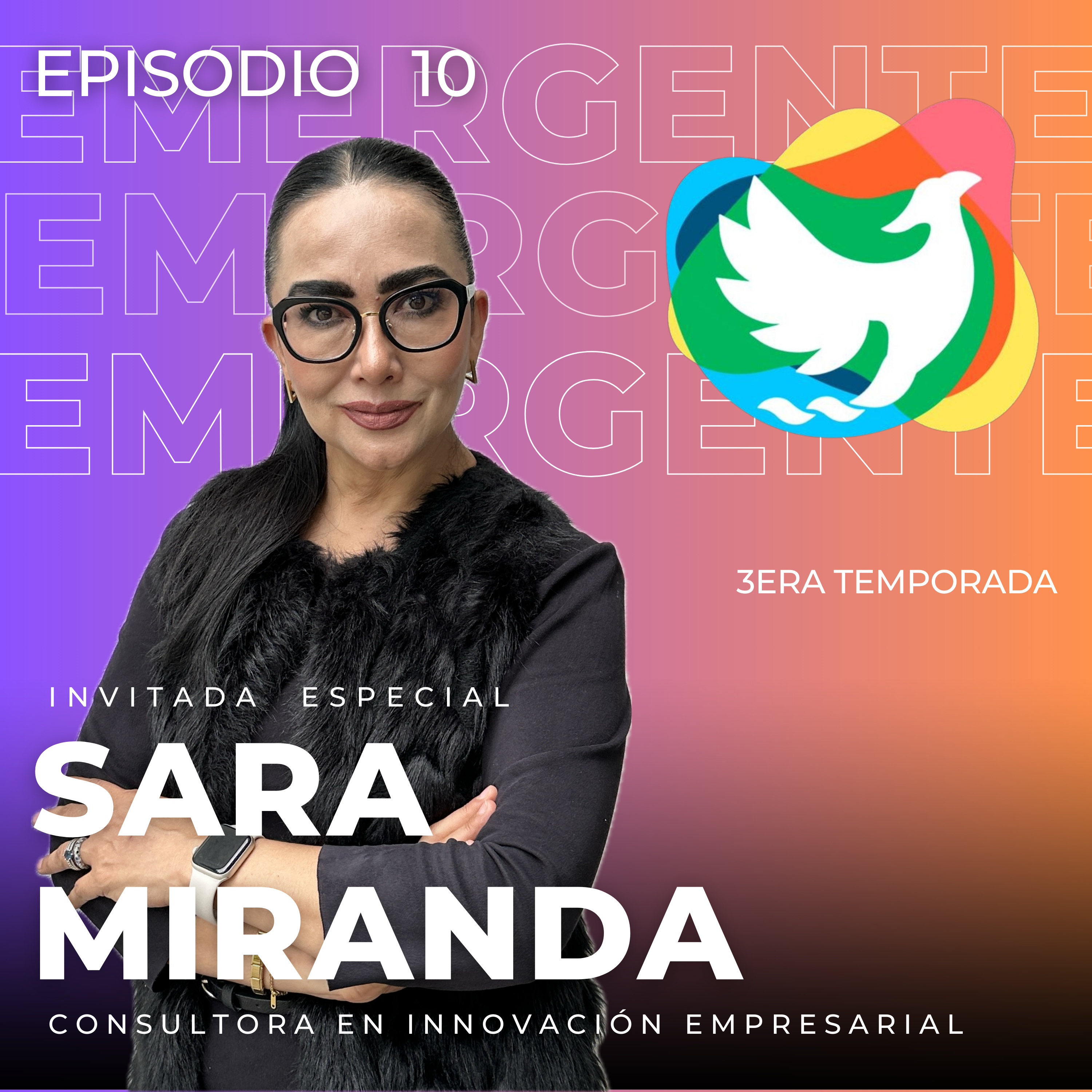 T3. Episodio 10: Sara Miranda - Consultora en Innovación Empresarial episode artwork