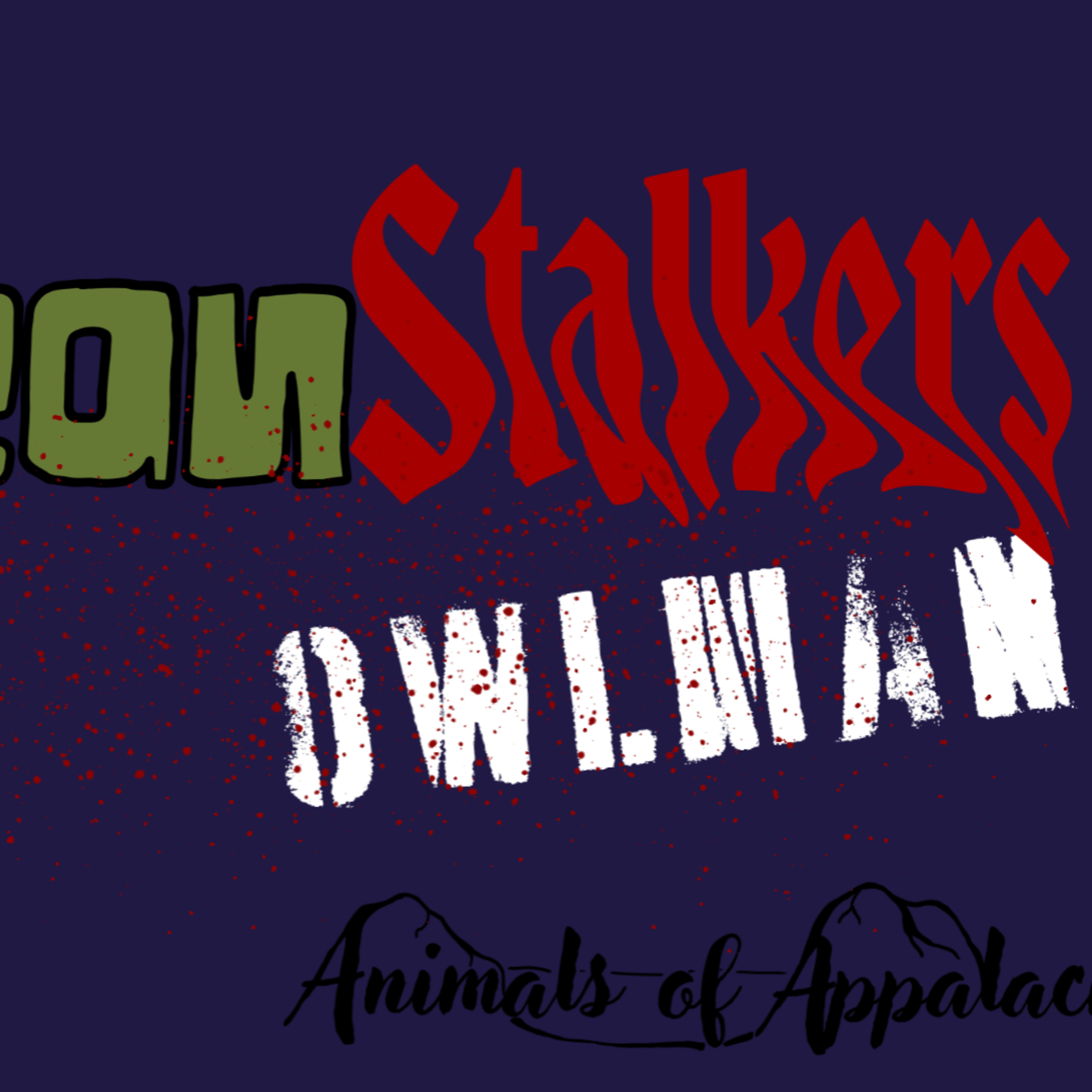 Owlman: Yawn! episode artwork