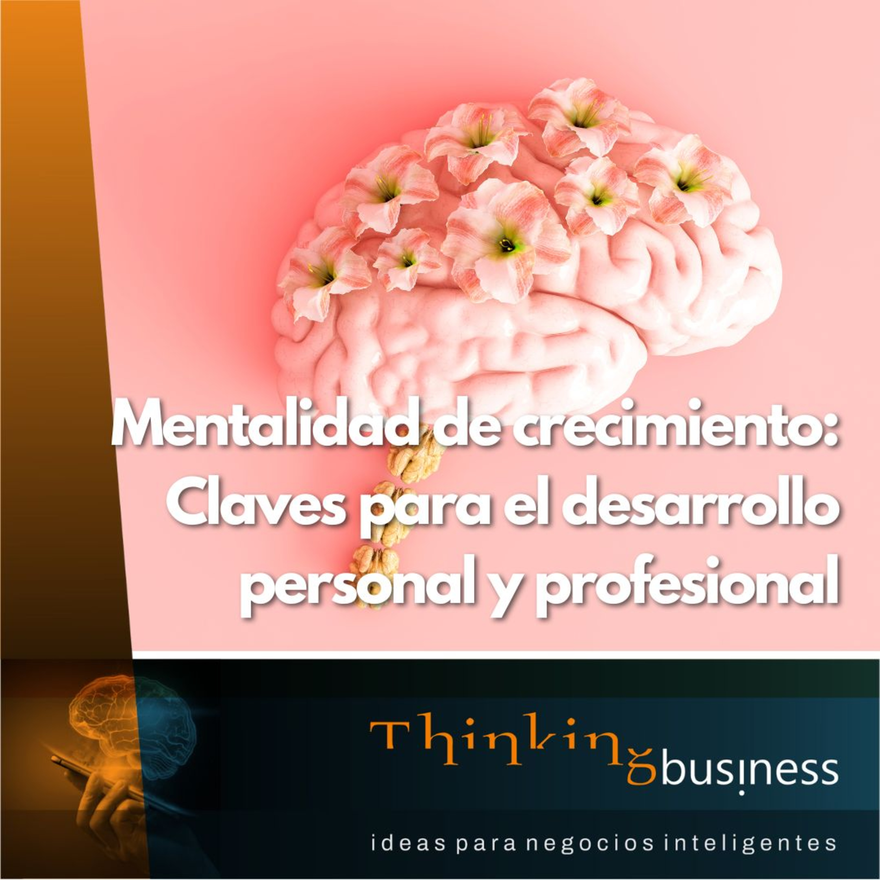 ThinkingBusiness Podcast