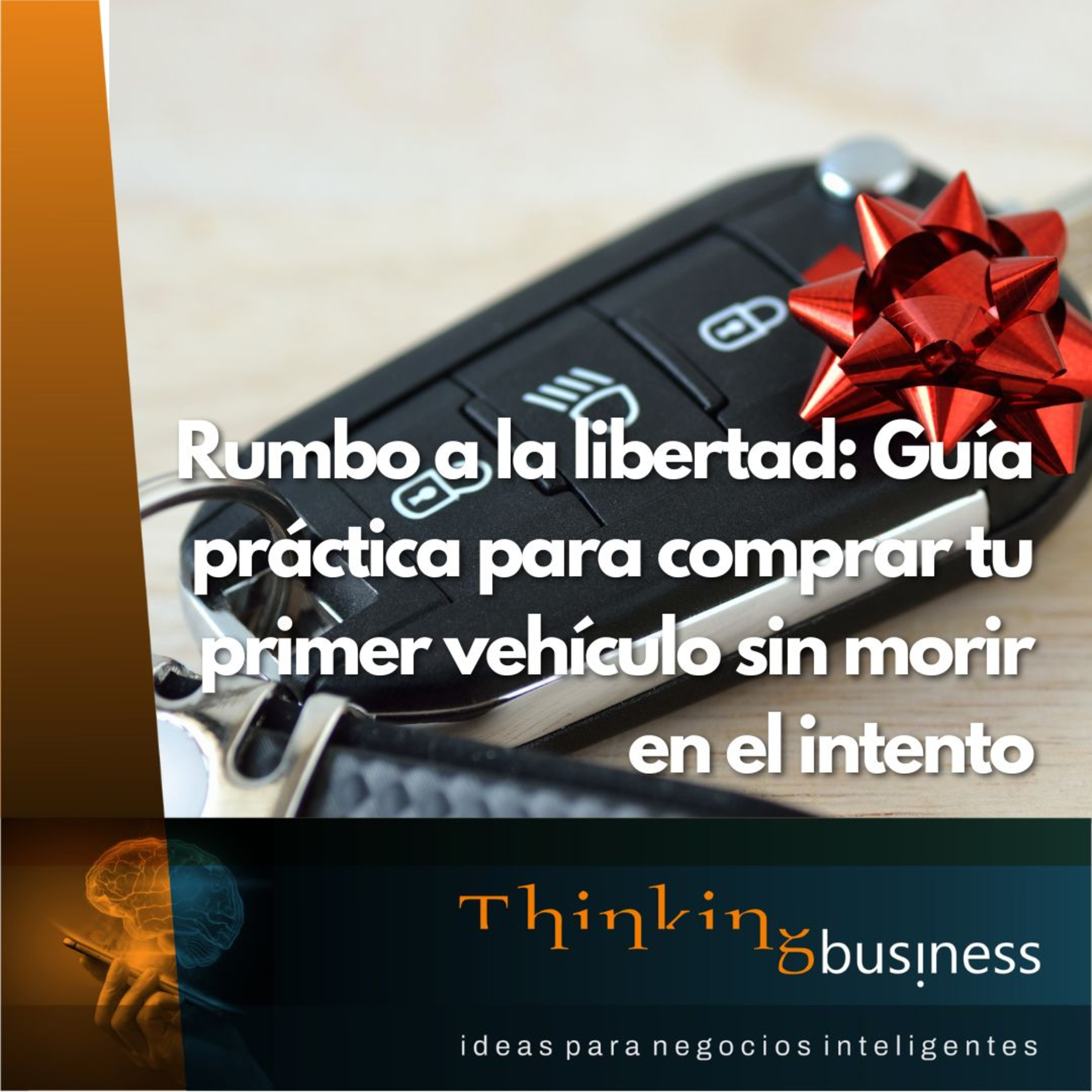 ThinkingBusiness Podcast