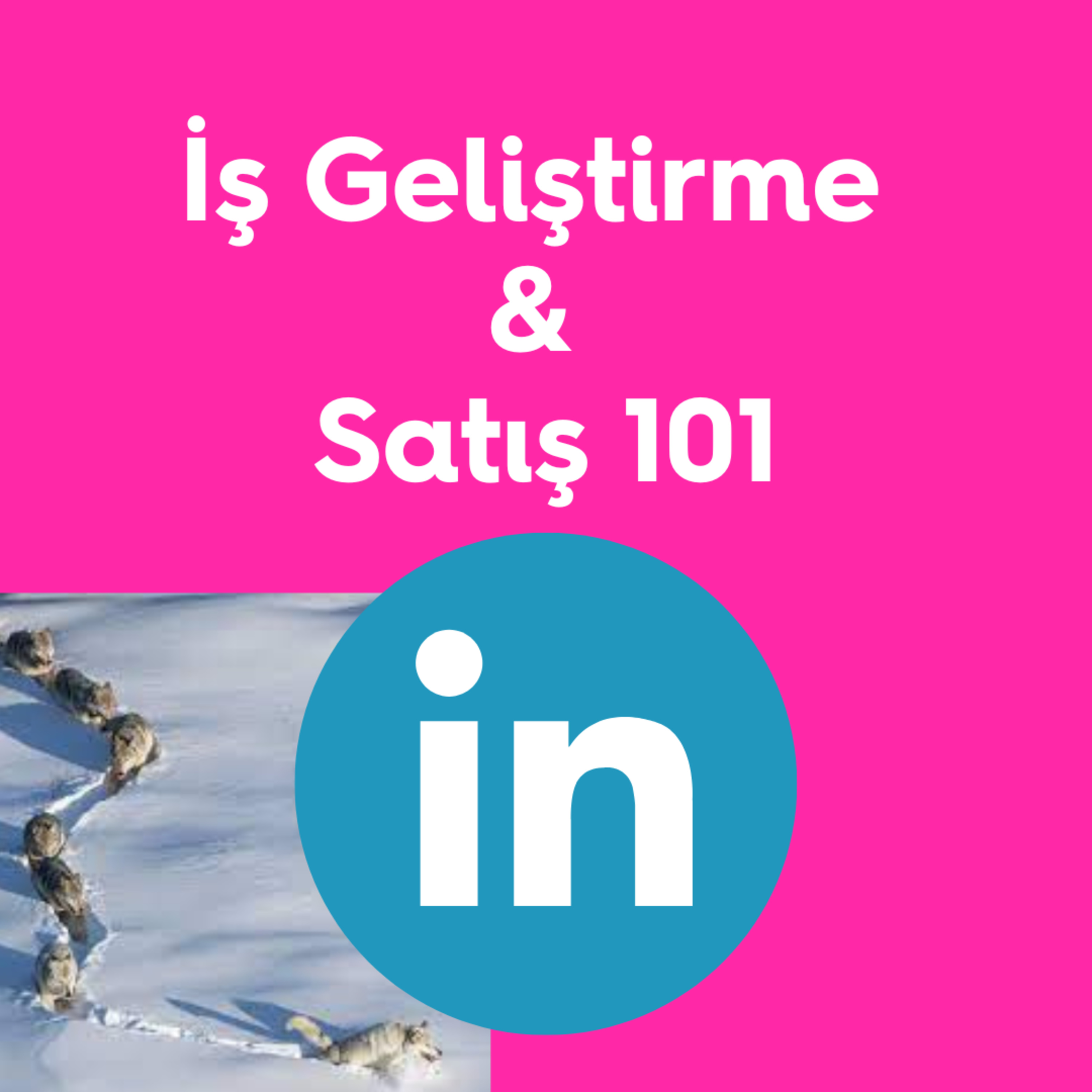 119. Linkedin 101: Lead Üretmek için Kullanım