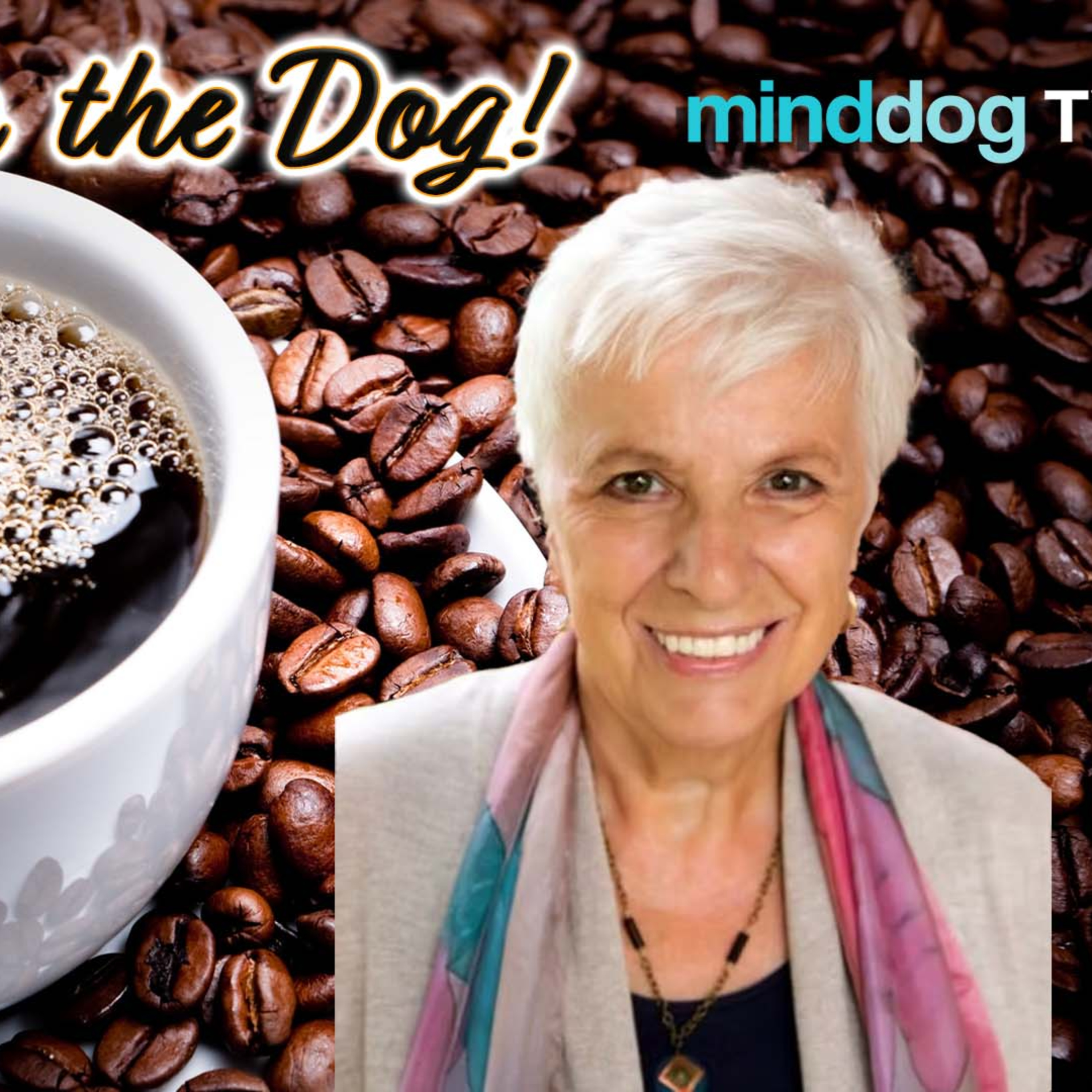Meet The Author - Pat Black- Gould - Texas Tea? EP914 episode artwork