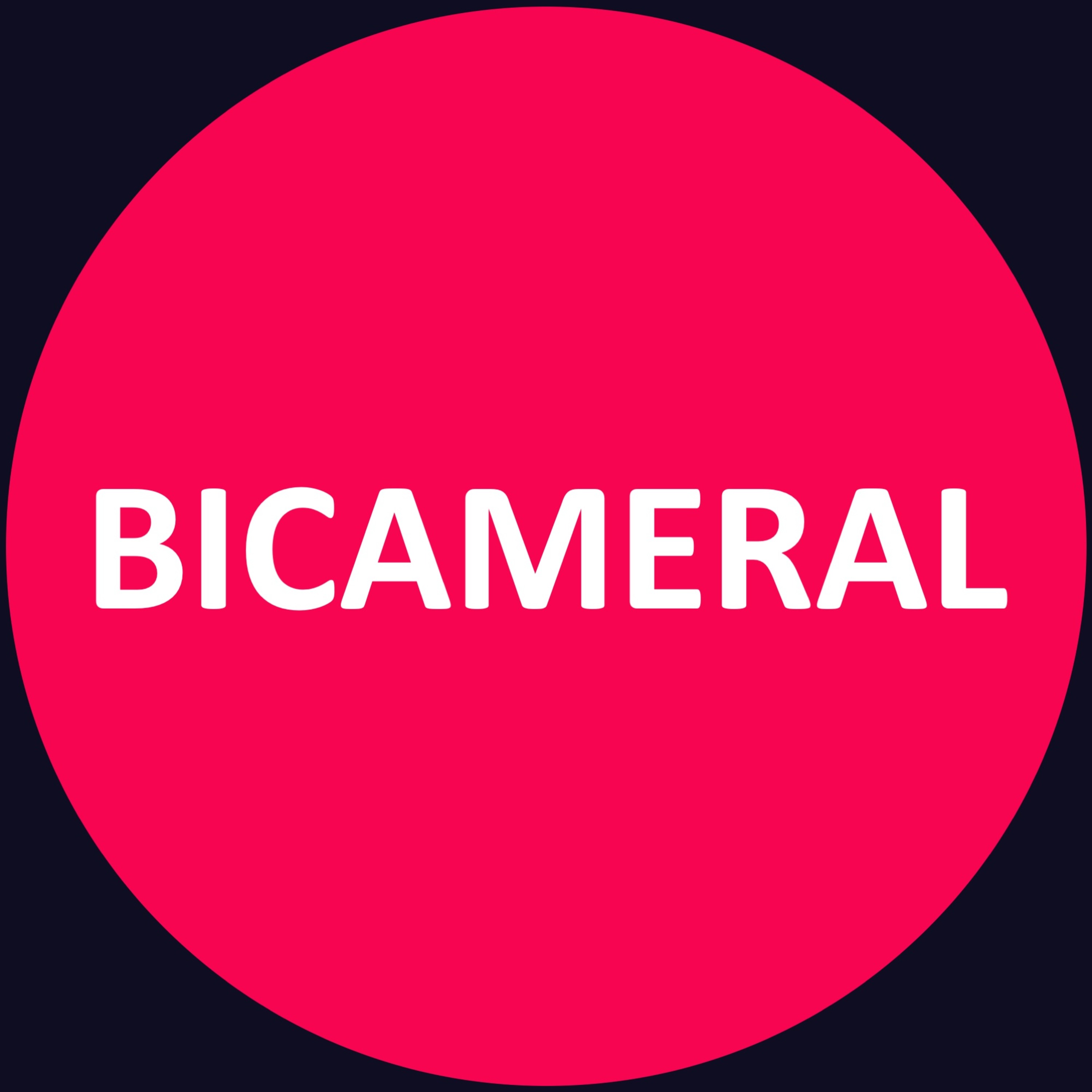 Portada de Bicameral