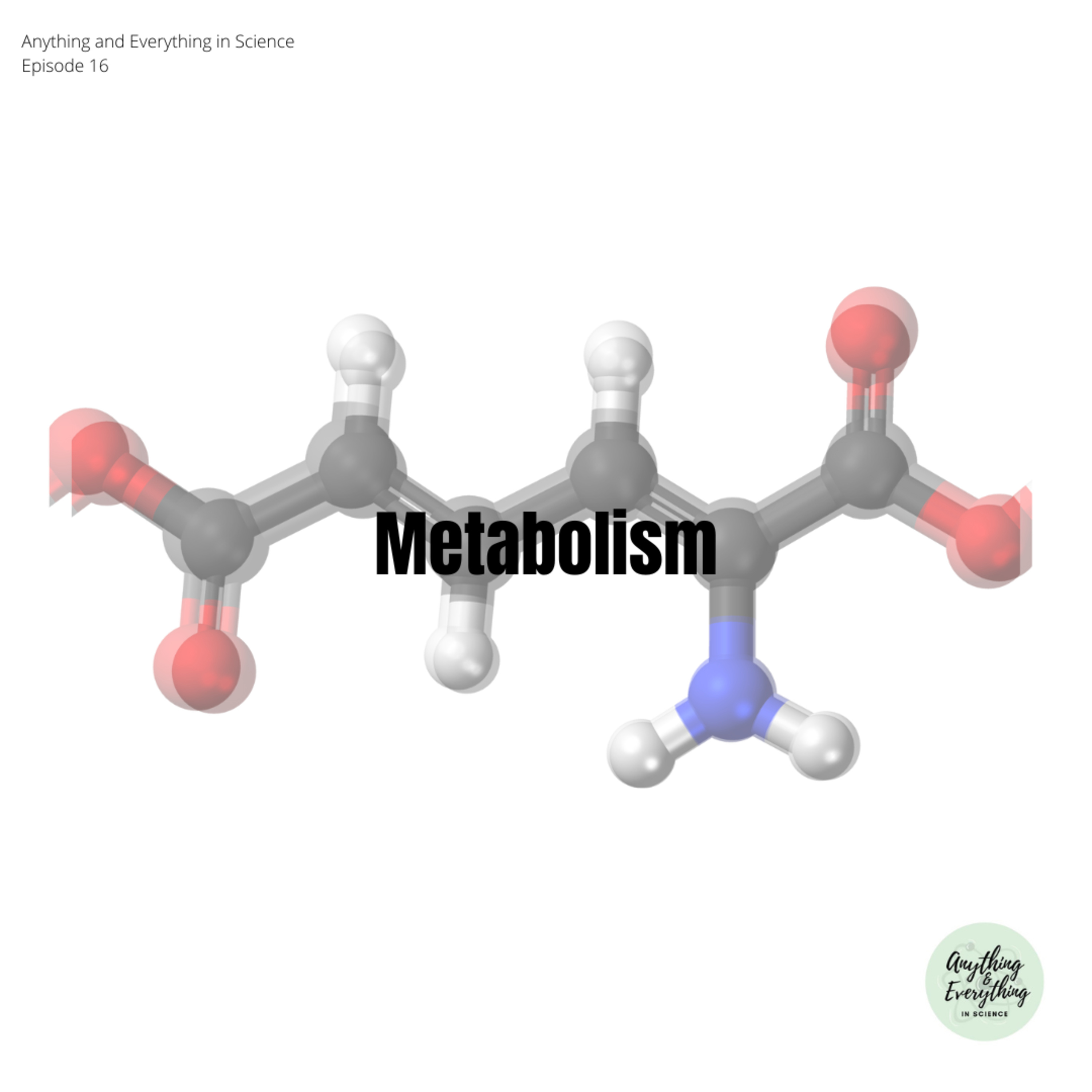 Metabolism episode artwork