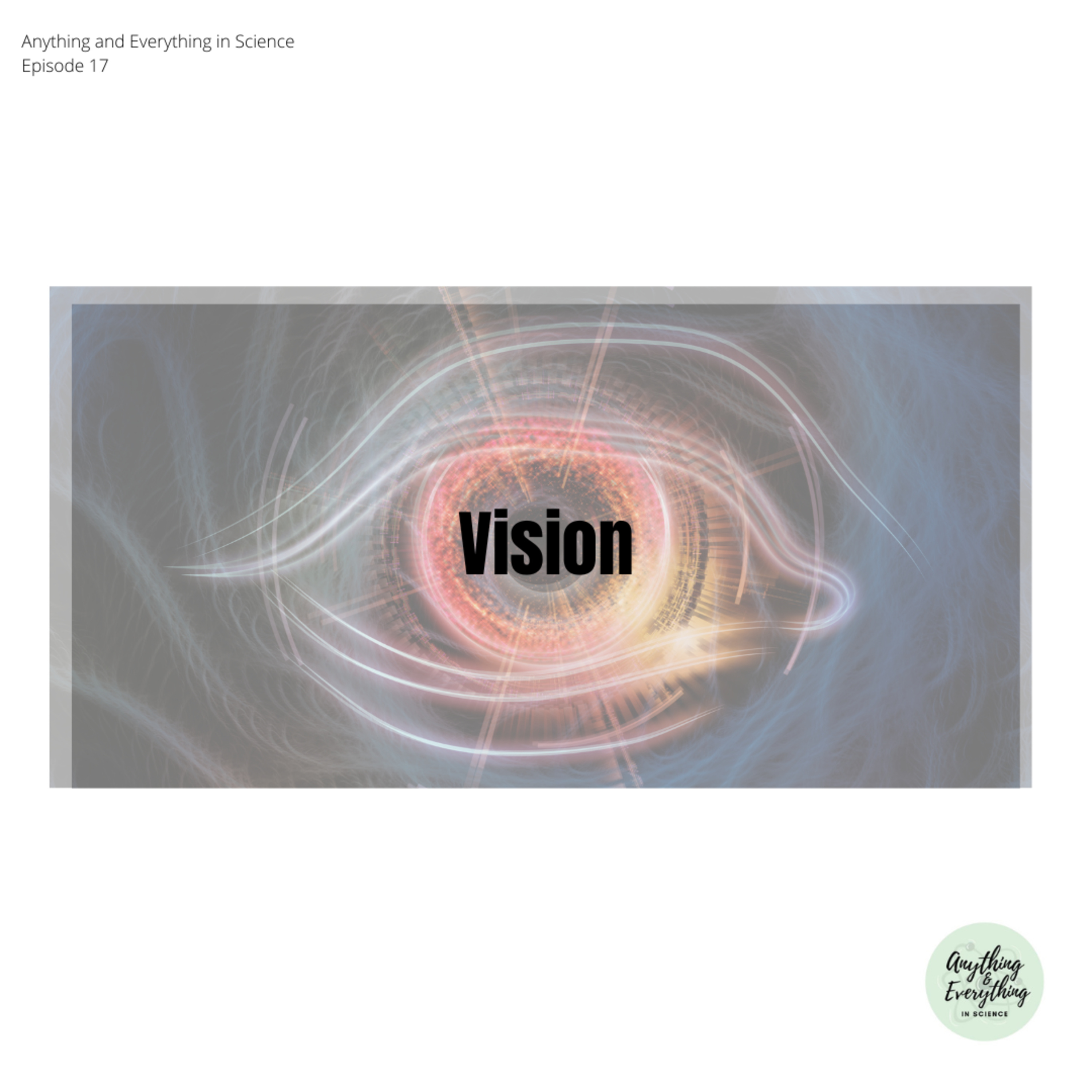 Vision episode artwork