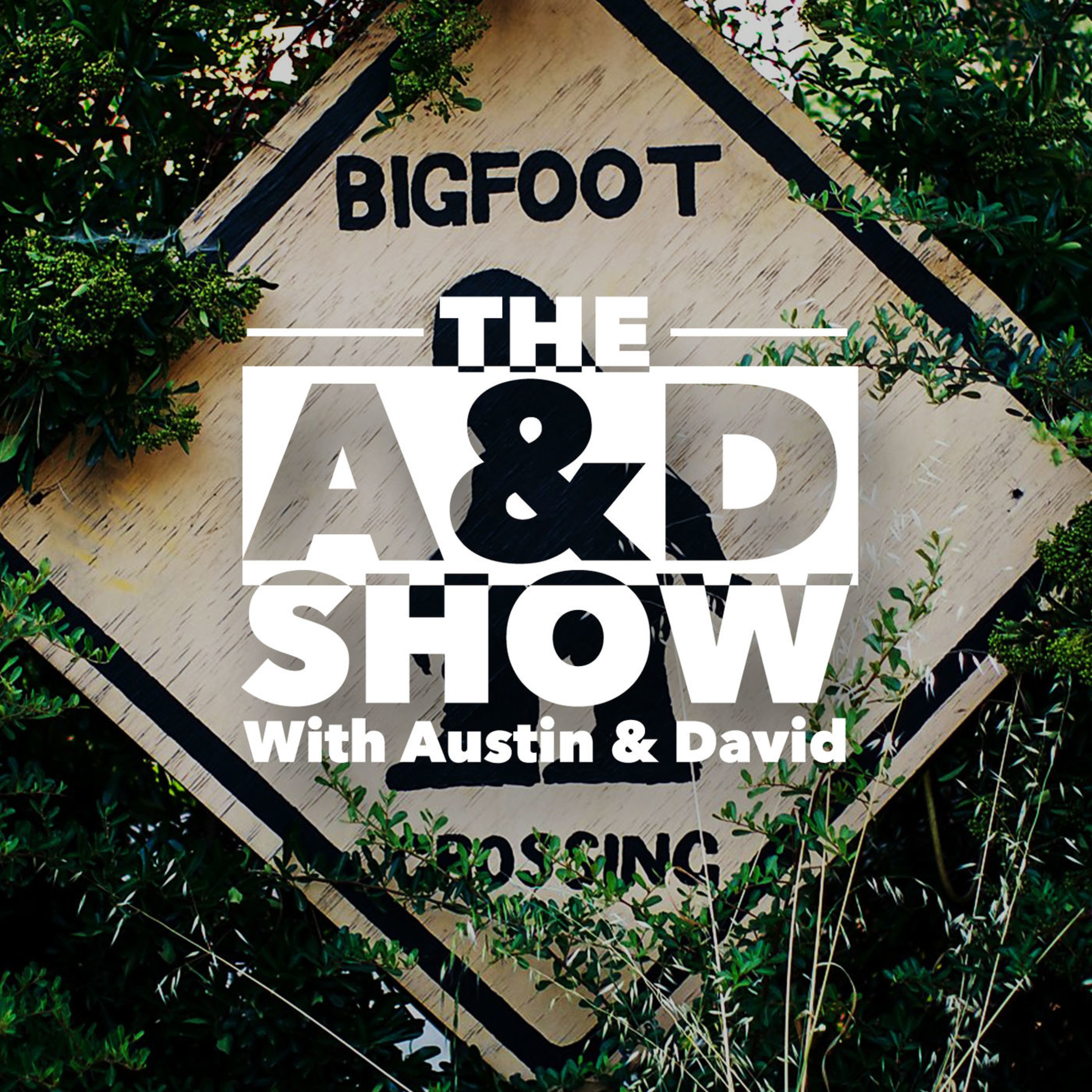 BONUS EPISODE: We Went Squatch Hunting episode artwork