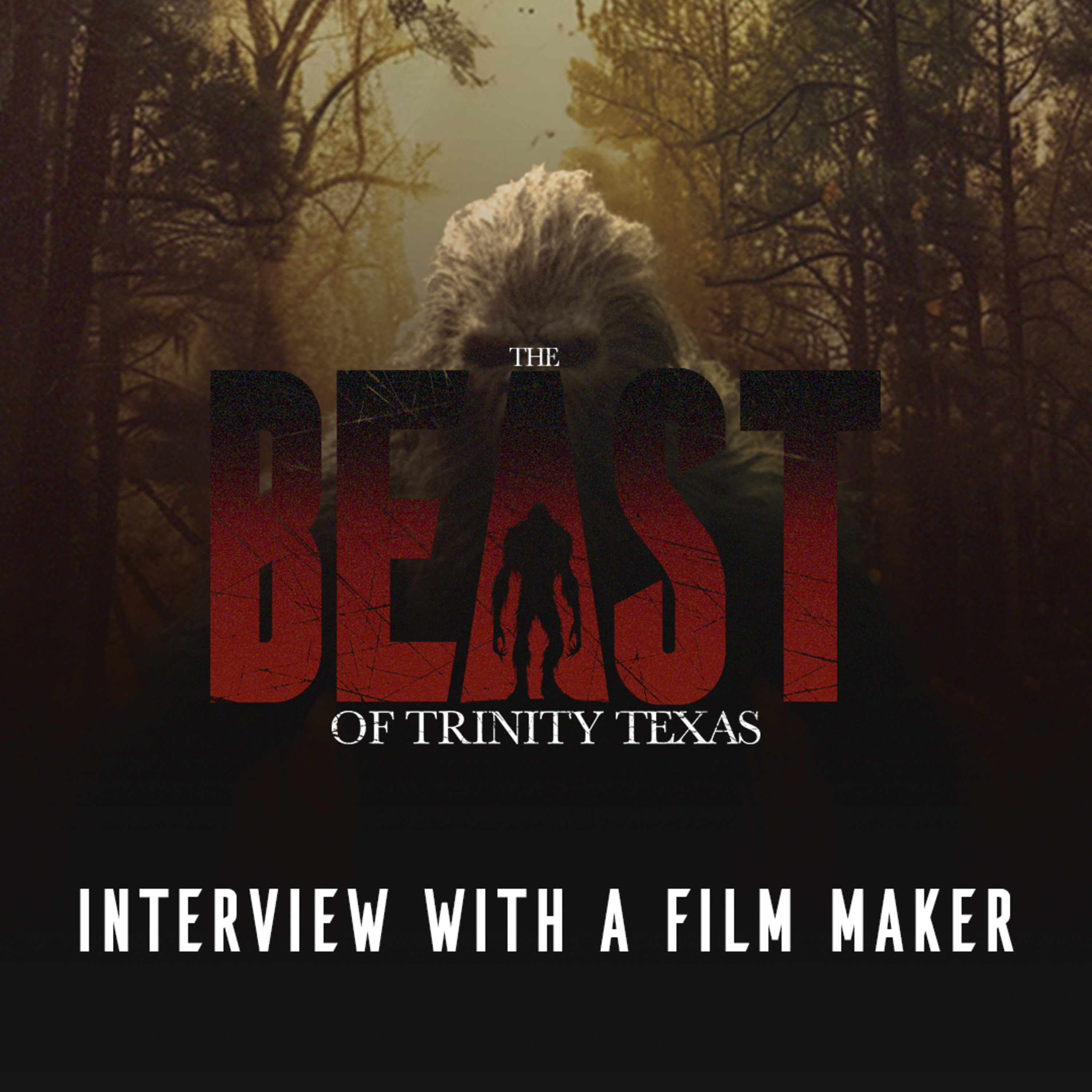 Interview with a film maker. episode artwork