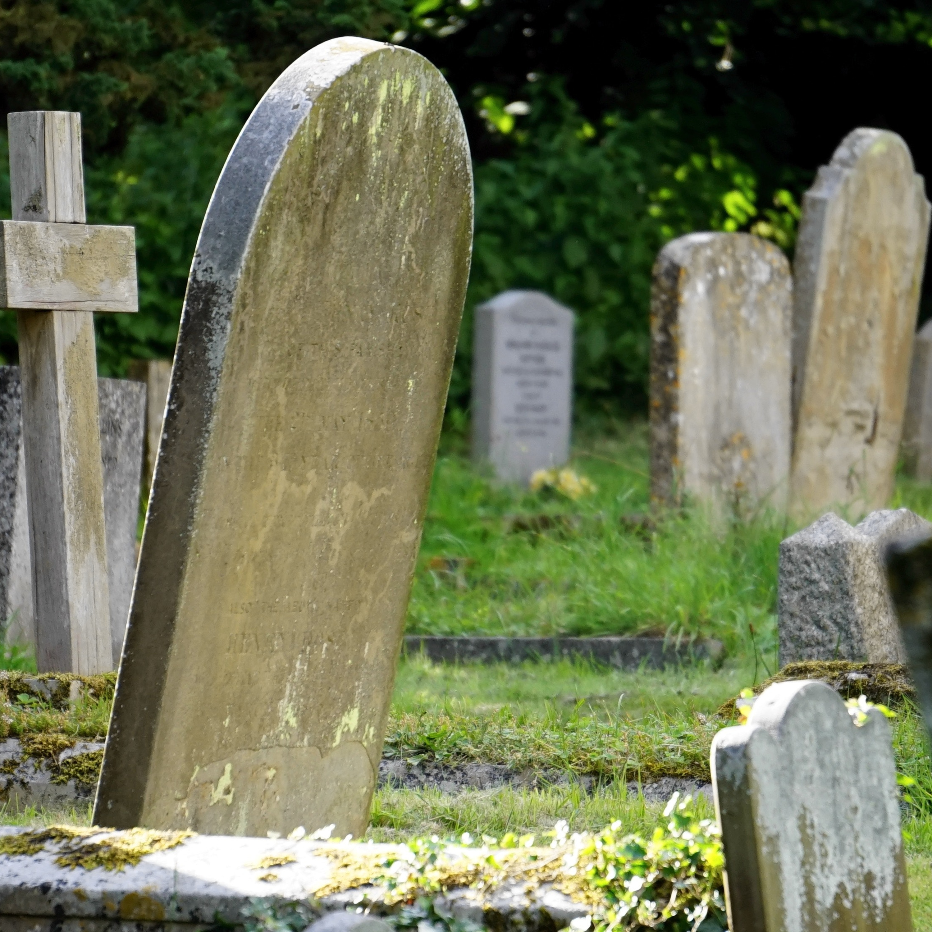 Cemetery Walk