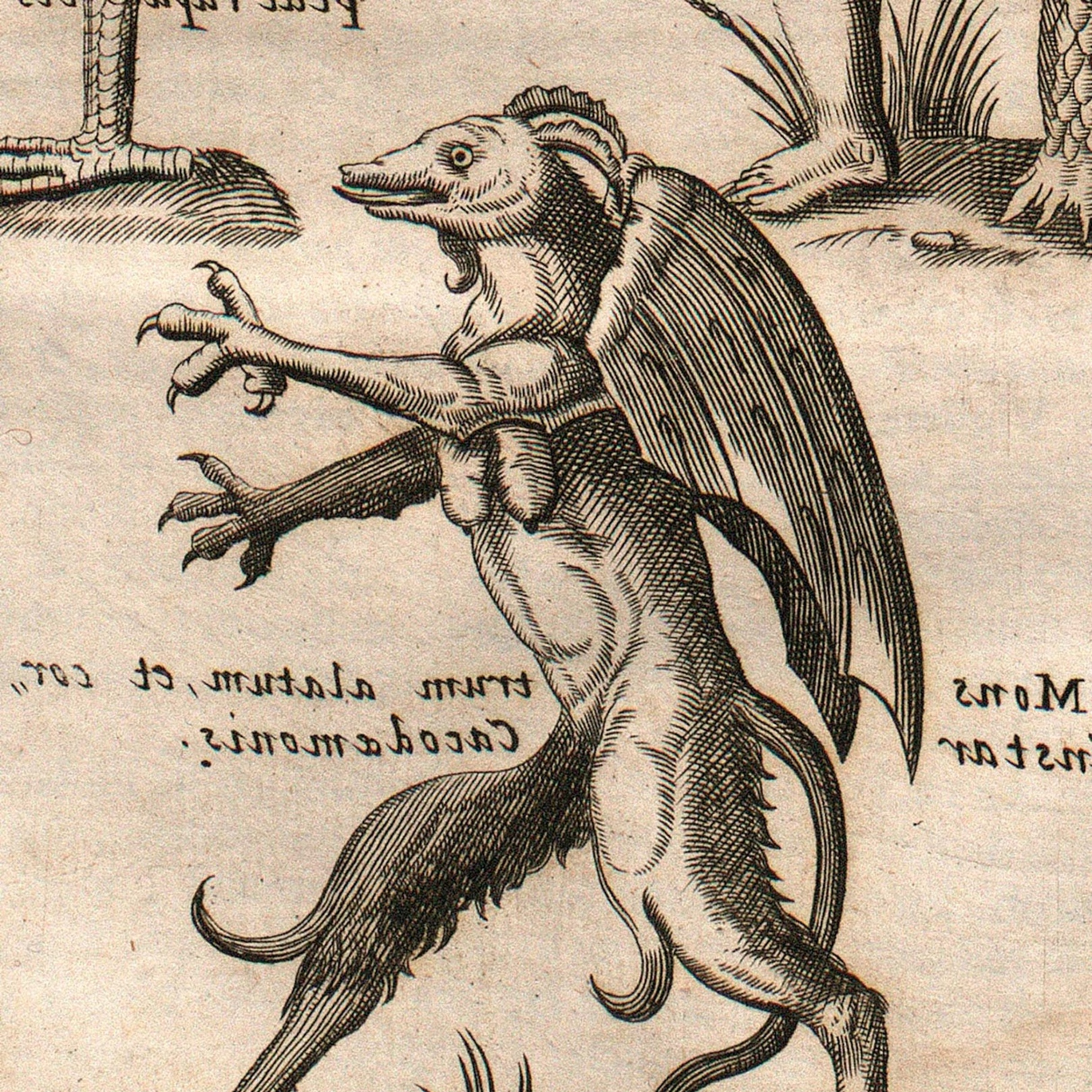 Jersey Devil Episode 2 episode artwork