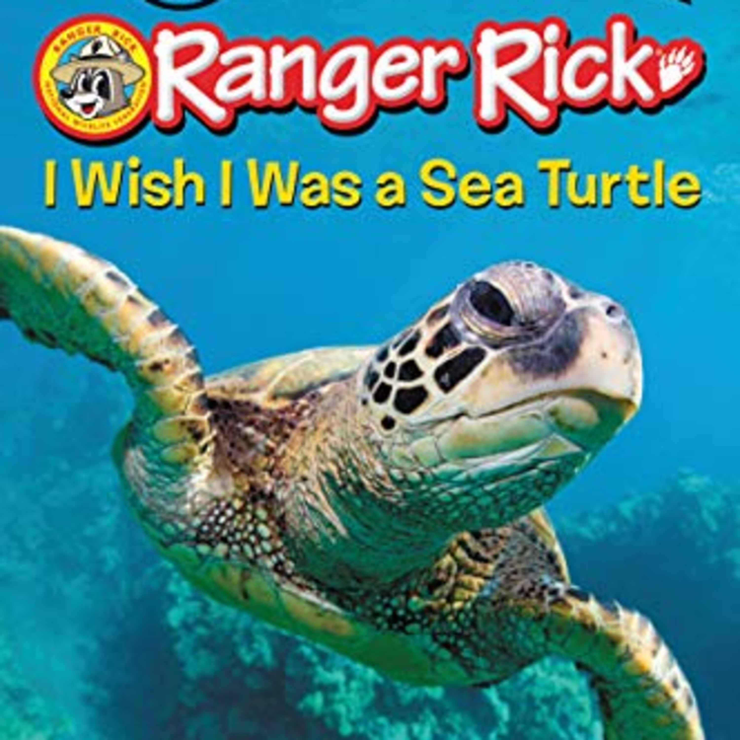 (Ranger Rick) I Wish I Was A Sea Turtle by Jennifer Bové  episode artwork