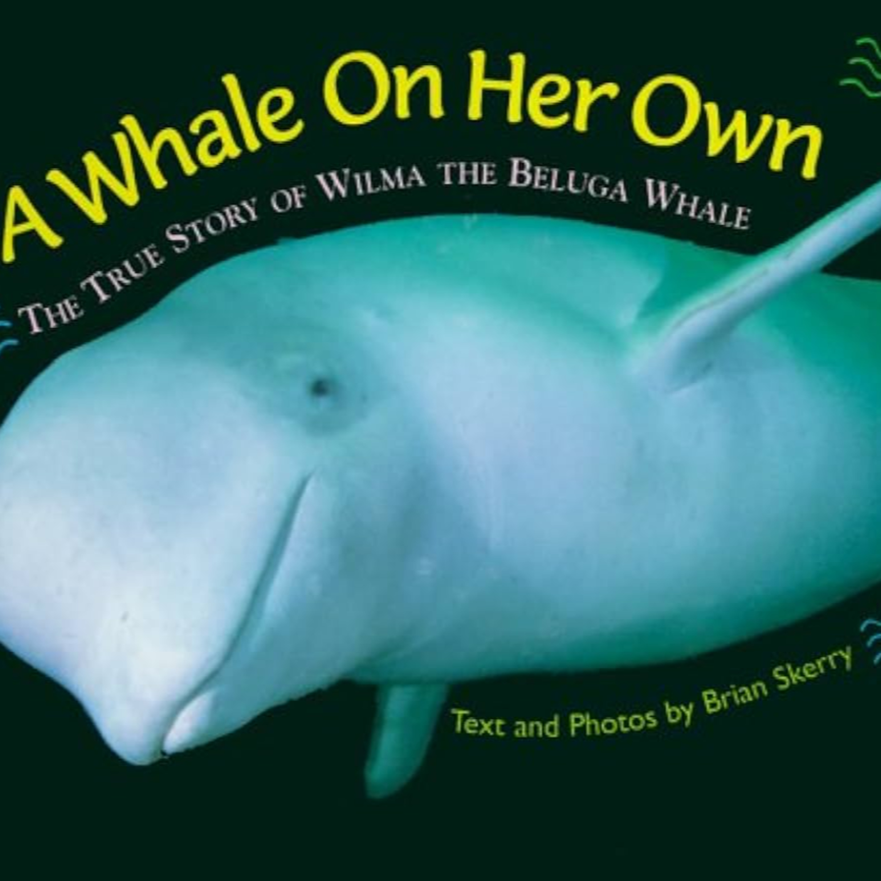 A Whale On Her Own: The True Story of Wilma The Beluga Whale by Brian Skerry episode artwork