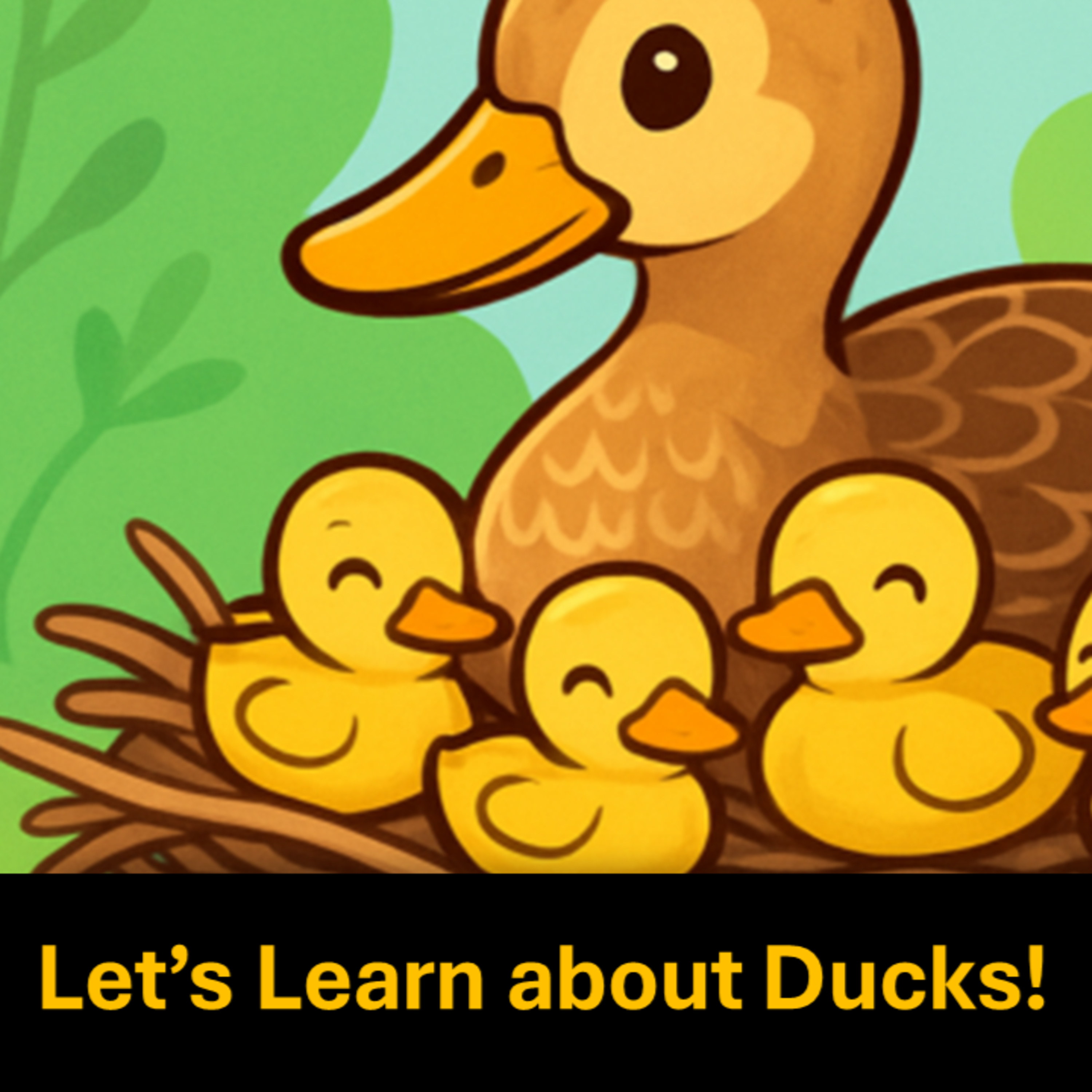 Quack! Quack! Let's Learn about Ducks! episode artwork
