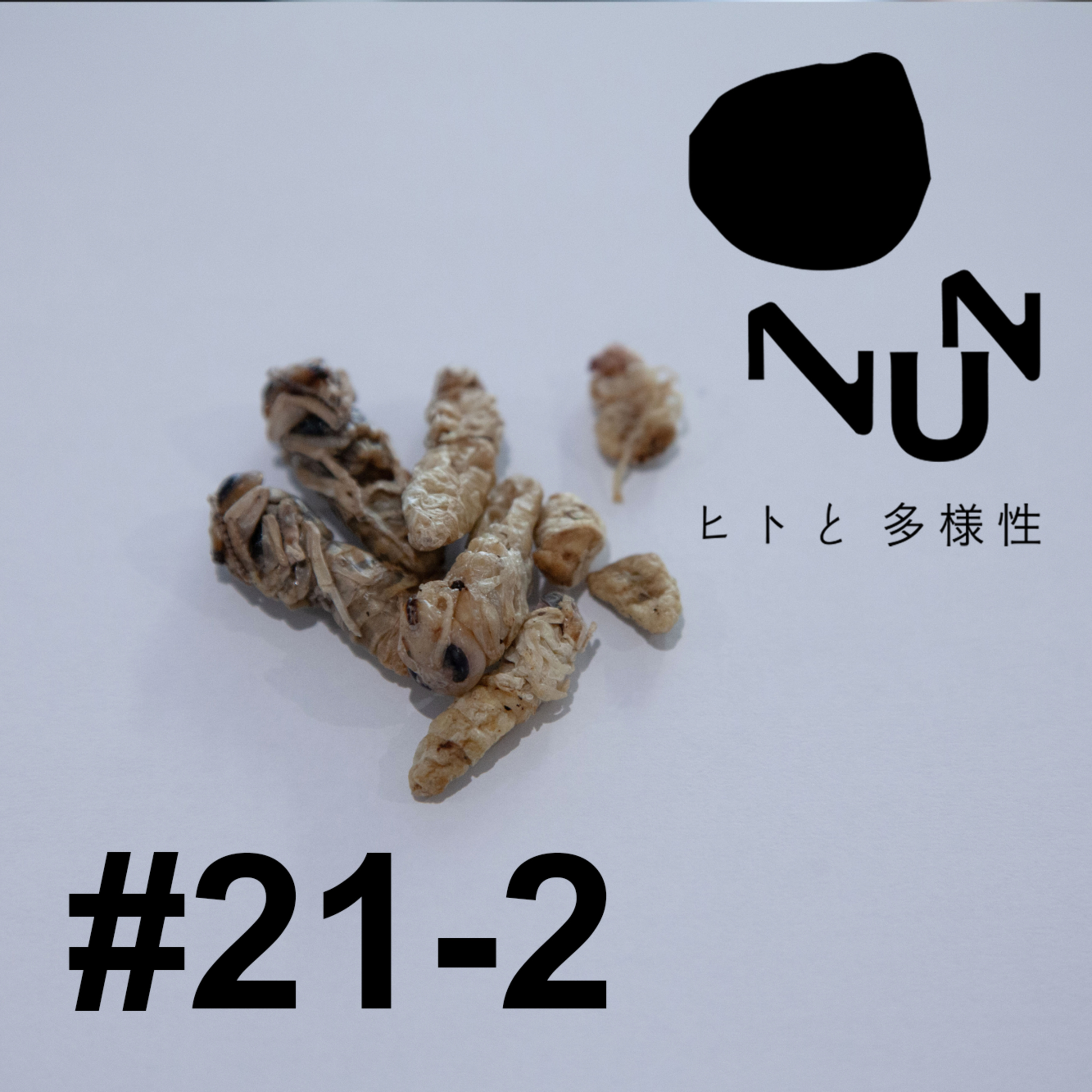 #21-2 万物食・後編　ゲスト：佐々木巧海 episode artwork