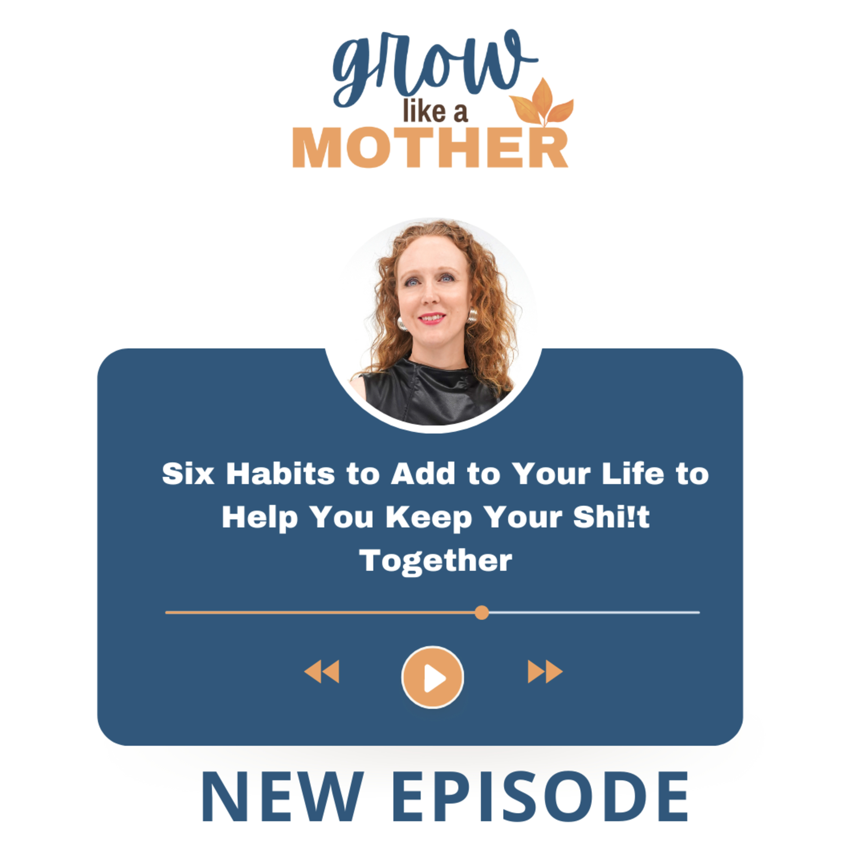 S3.E7. Six Habits to Add to Your Life to Help You Keep Your Shi!t Together episode artwork