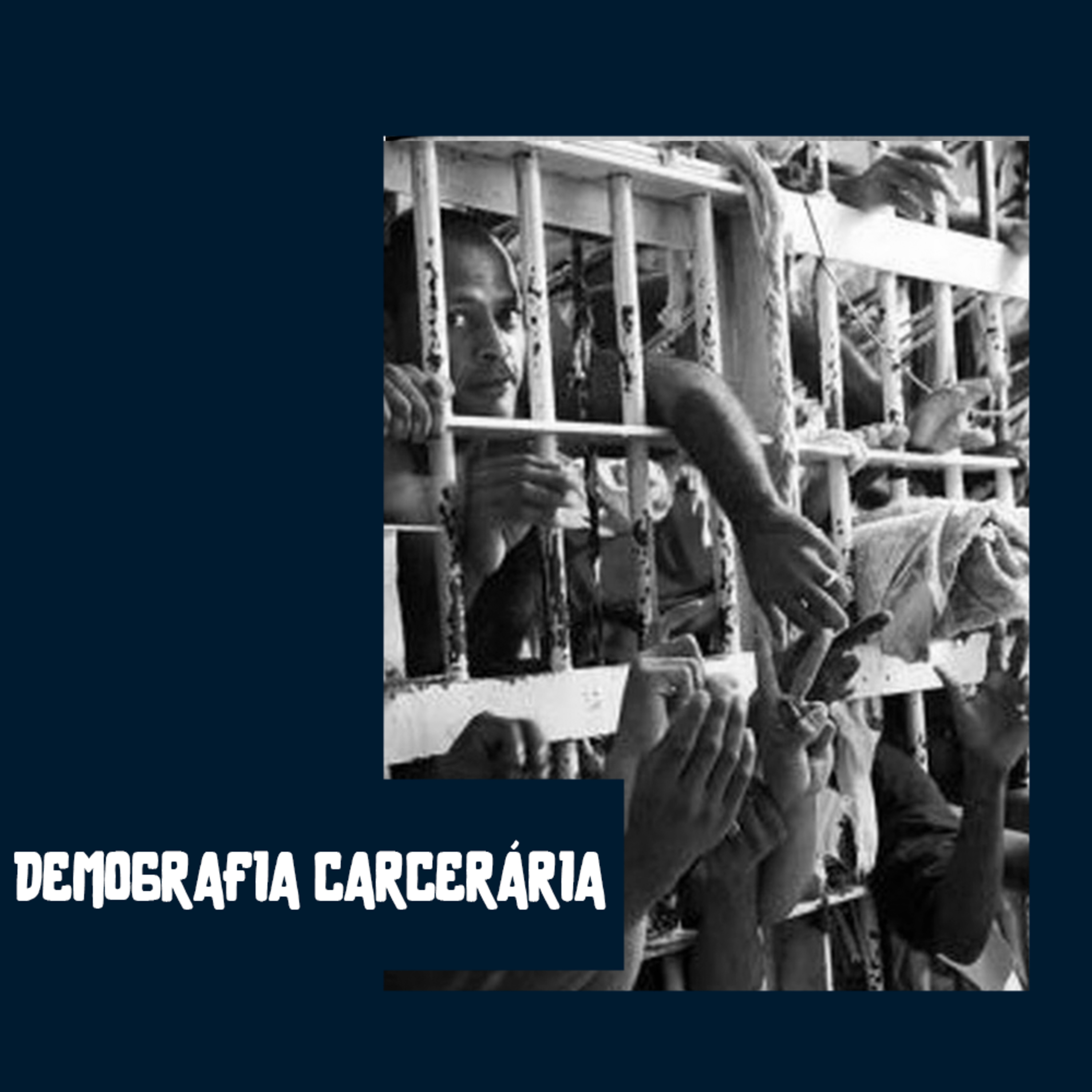 Demografia Carcerária