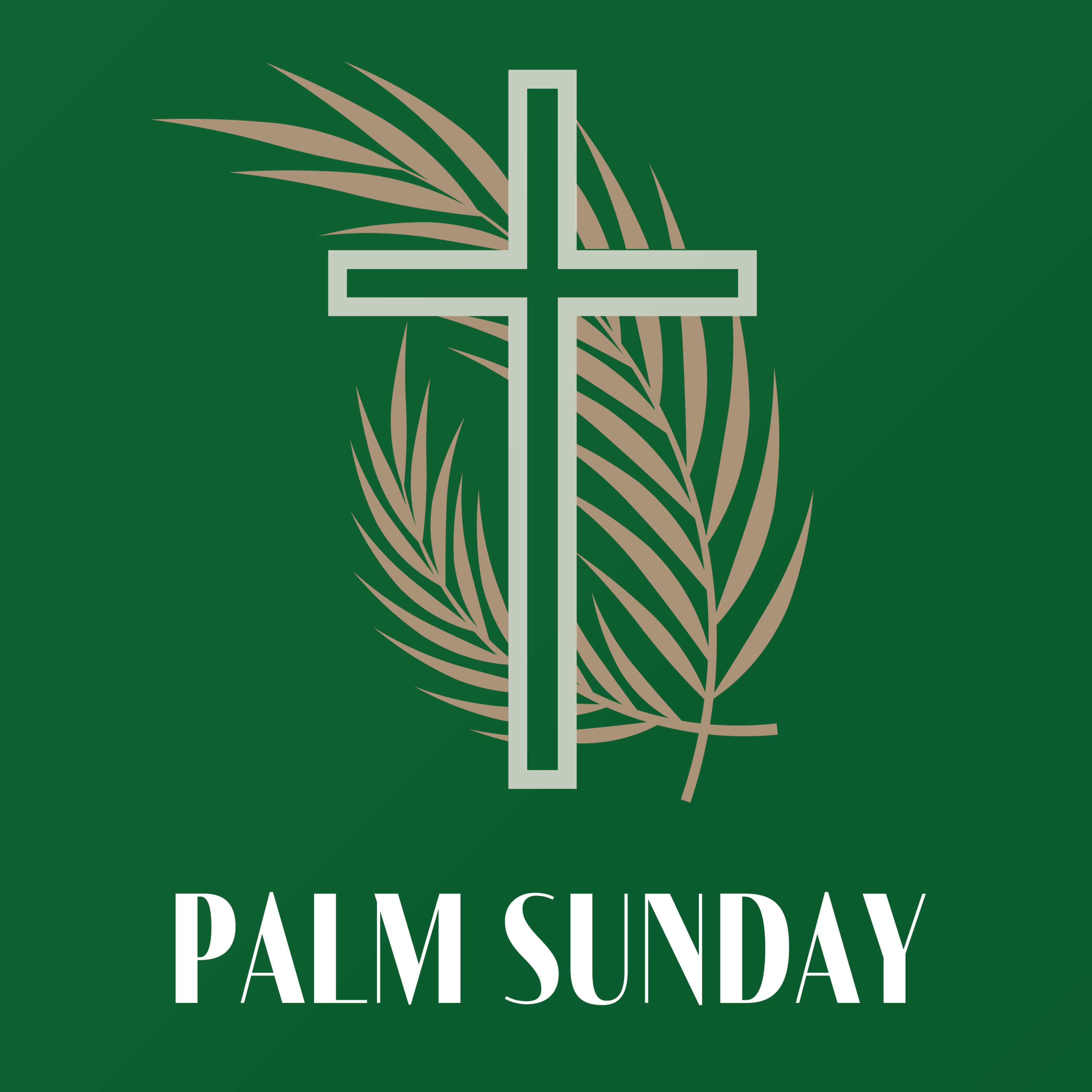 The Crowds | Palm Sunday 2026