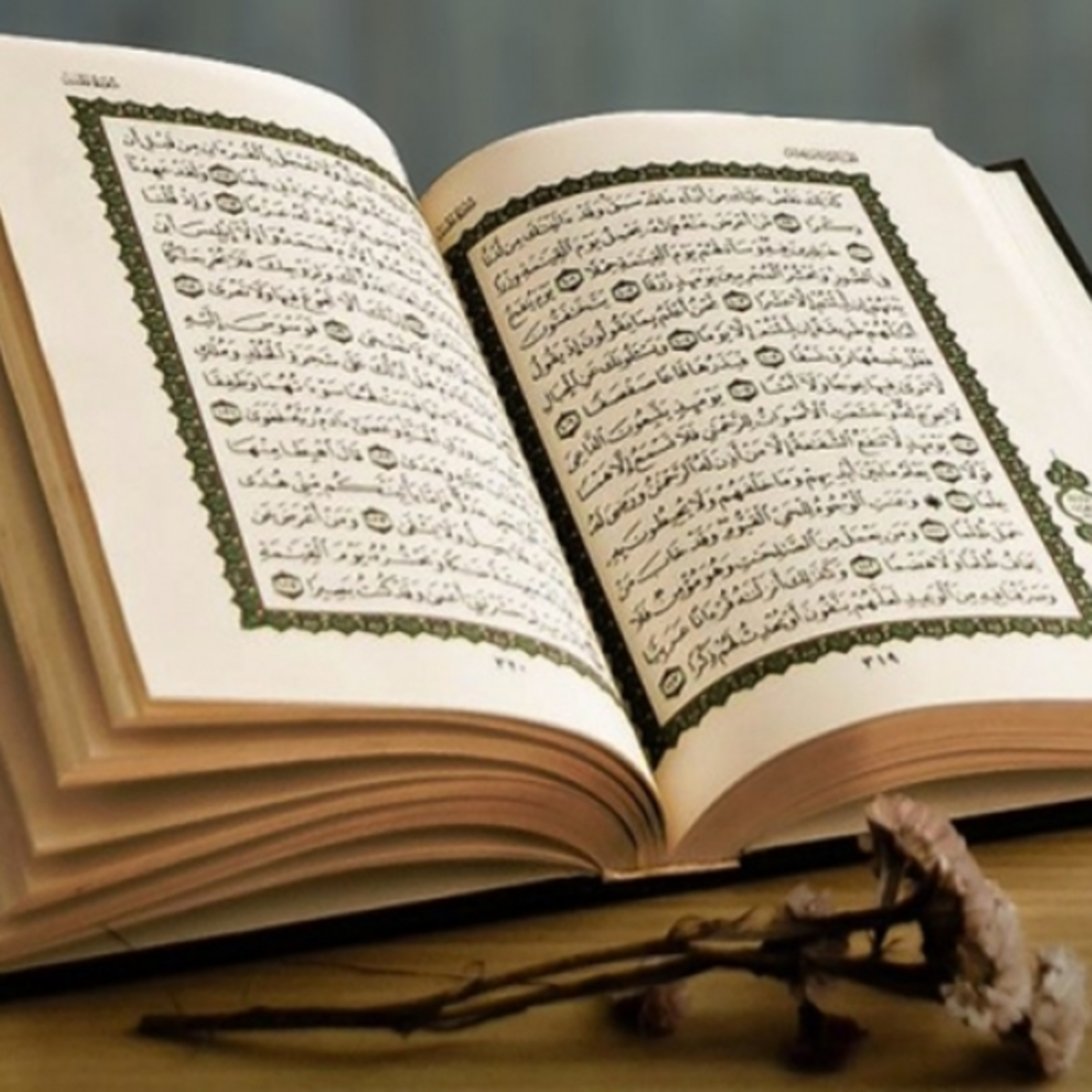 Dakwah Sunnah