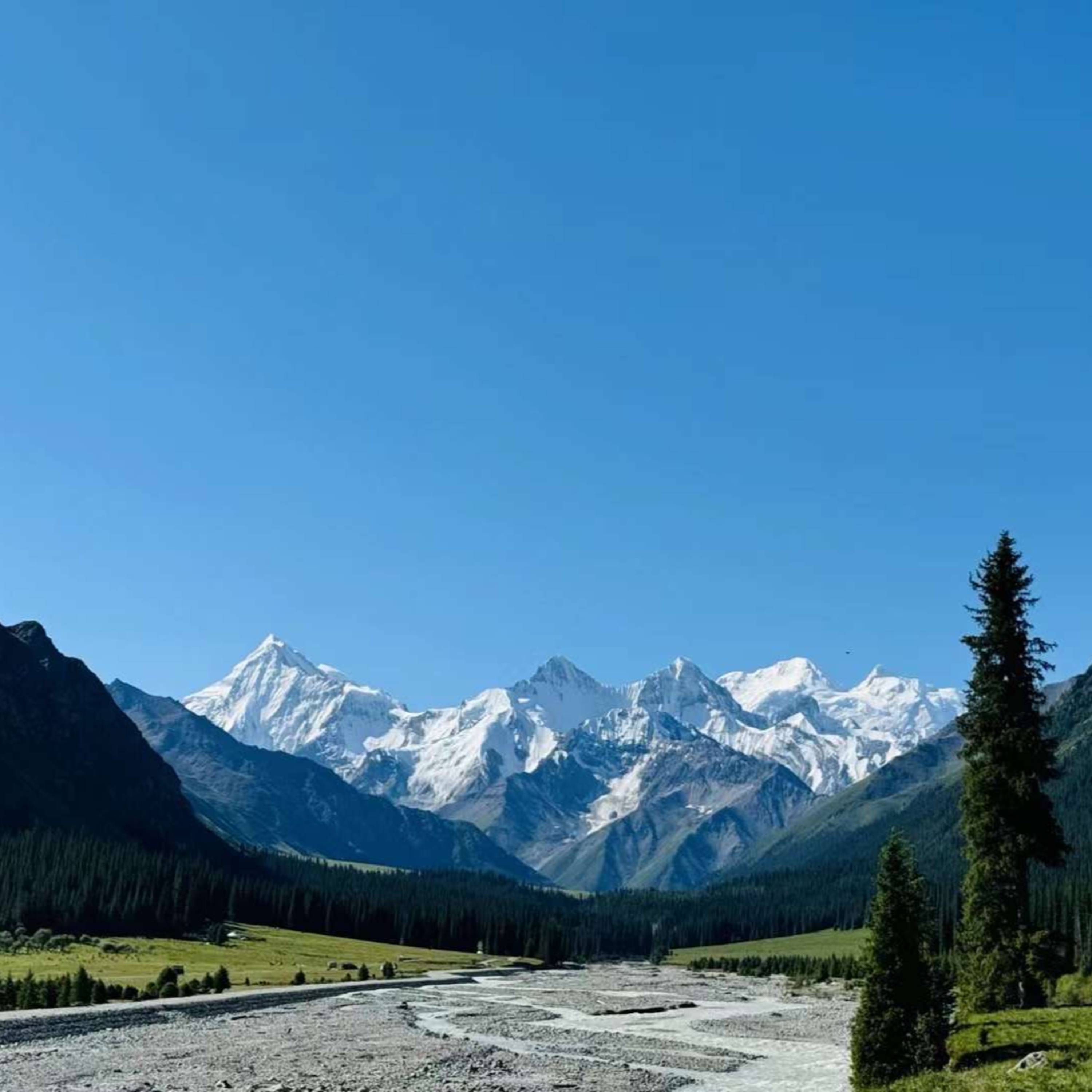 第116个故事：珊越旅行系列之没有去阿勒泰的新疆之旅 episode artwork