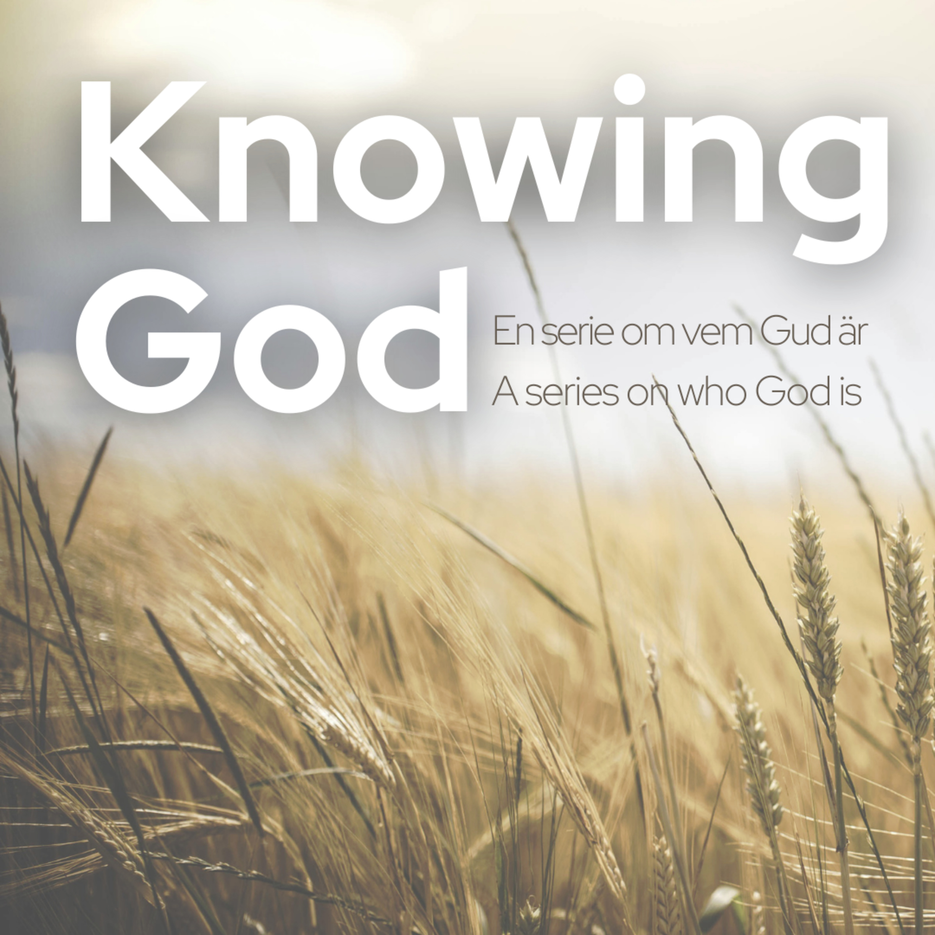 Anna Stenlund-Degbey - "God's faithfulness and truthfulness" episode artwork