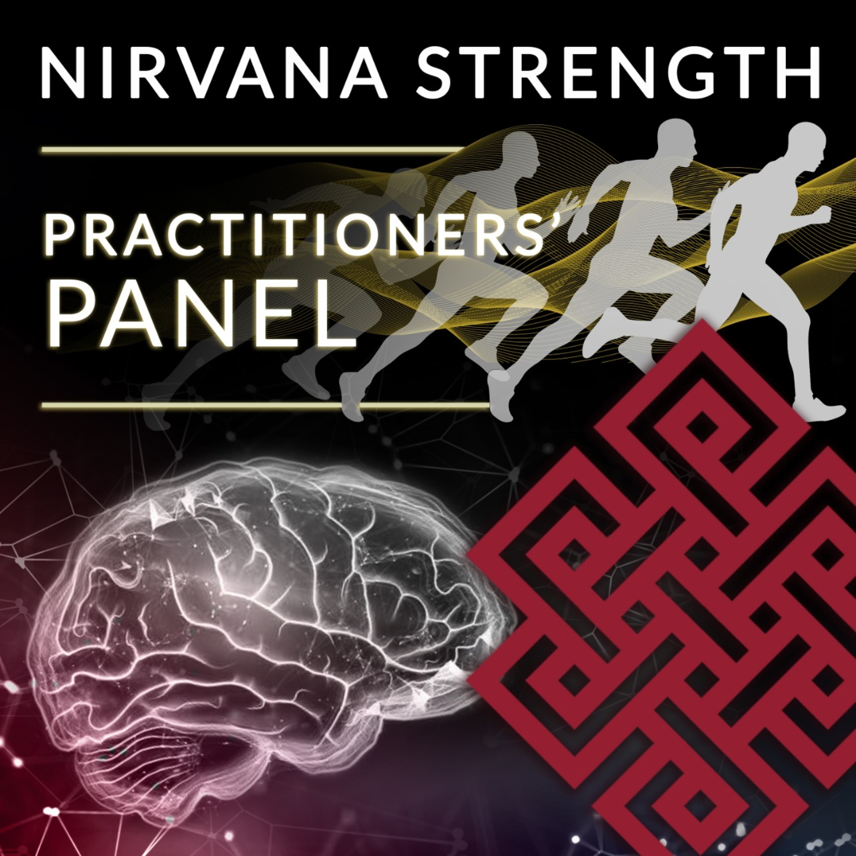 Nirvana Strength Practitioners\' Panel